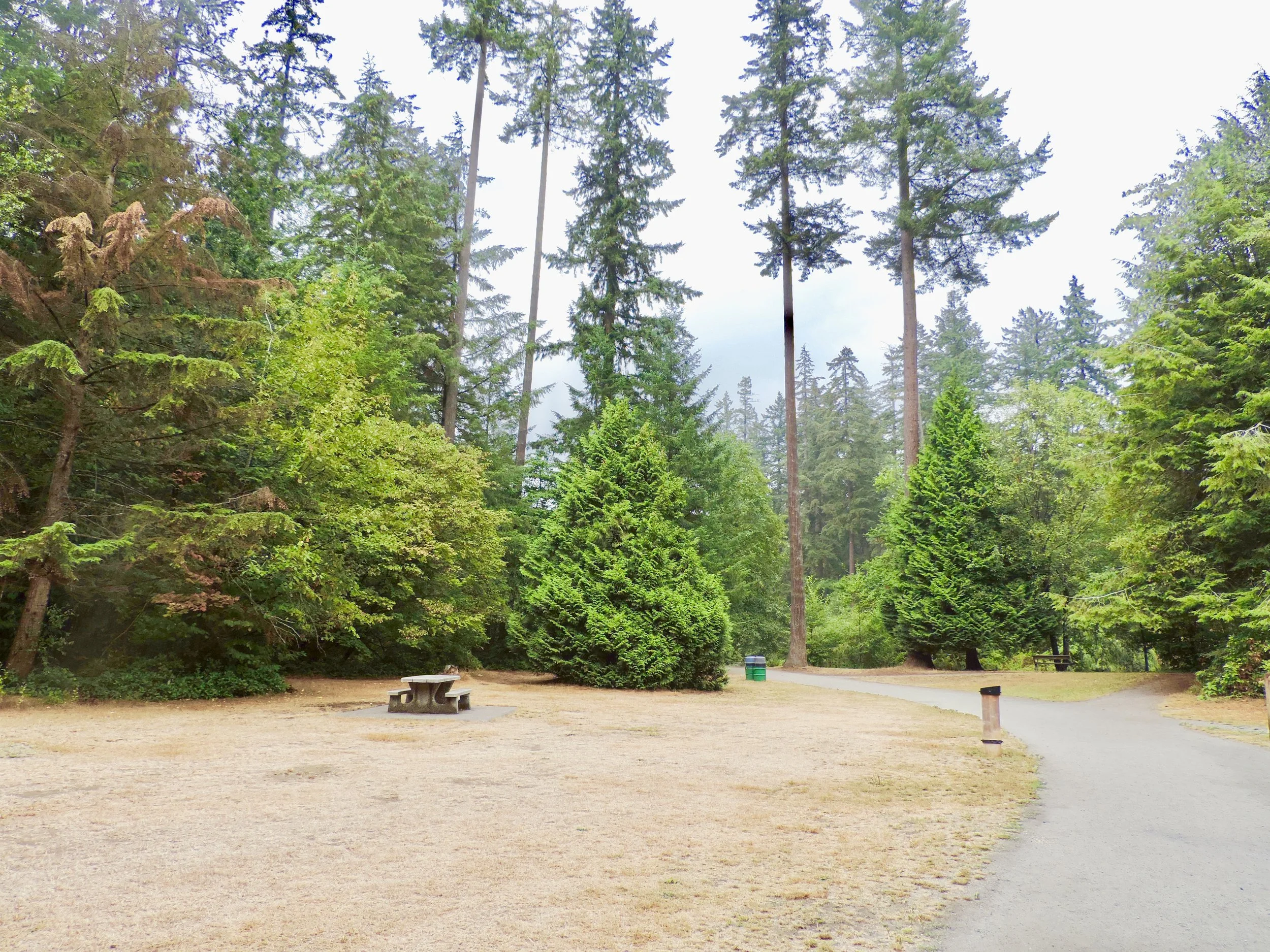 Central Park: Urban Oasis in Burnaby