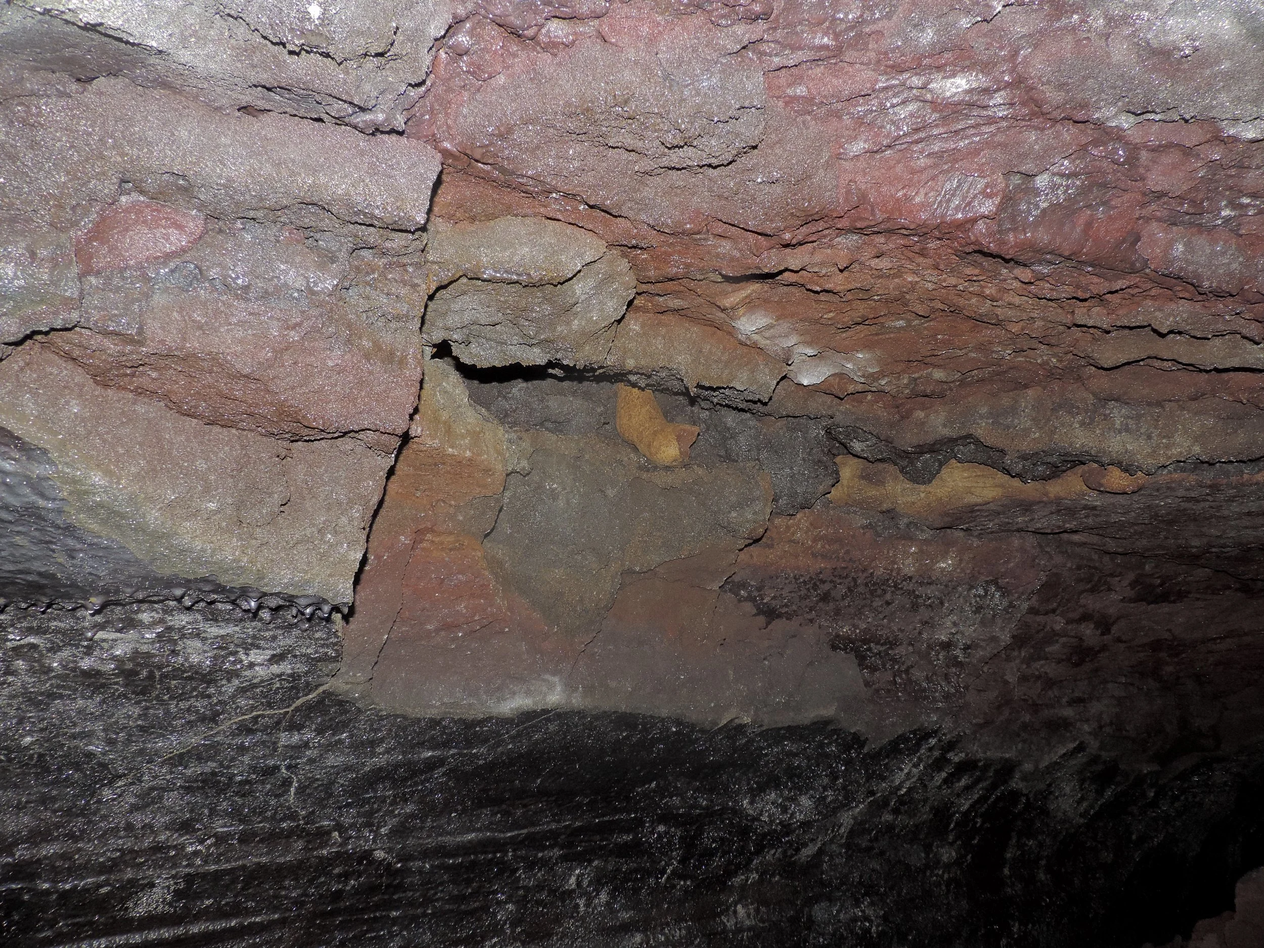 DSCN5239.jpg