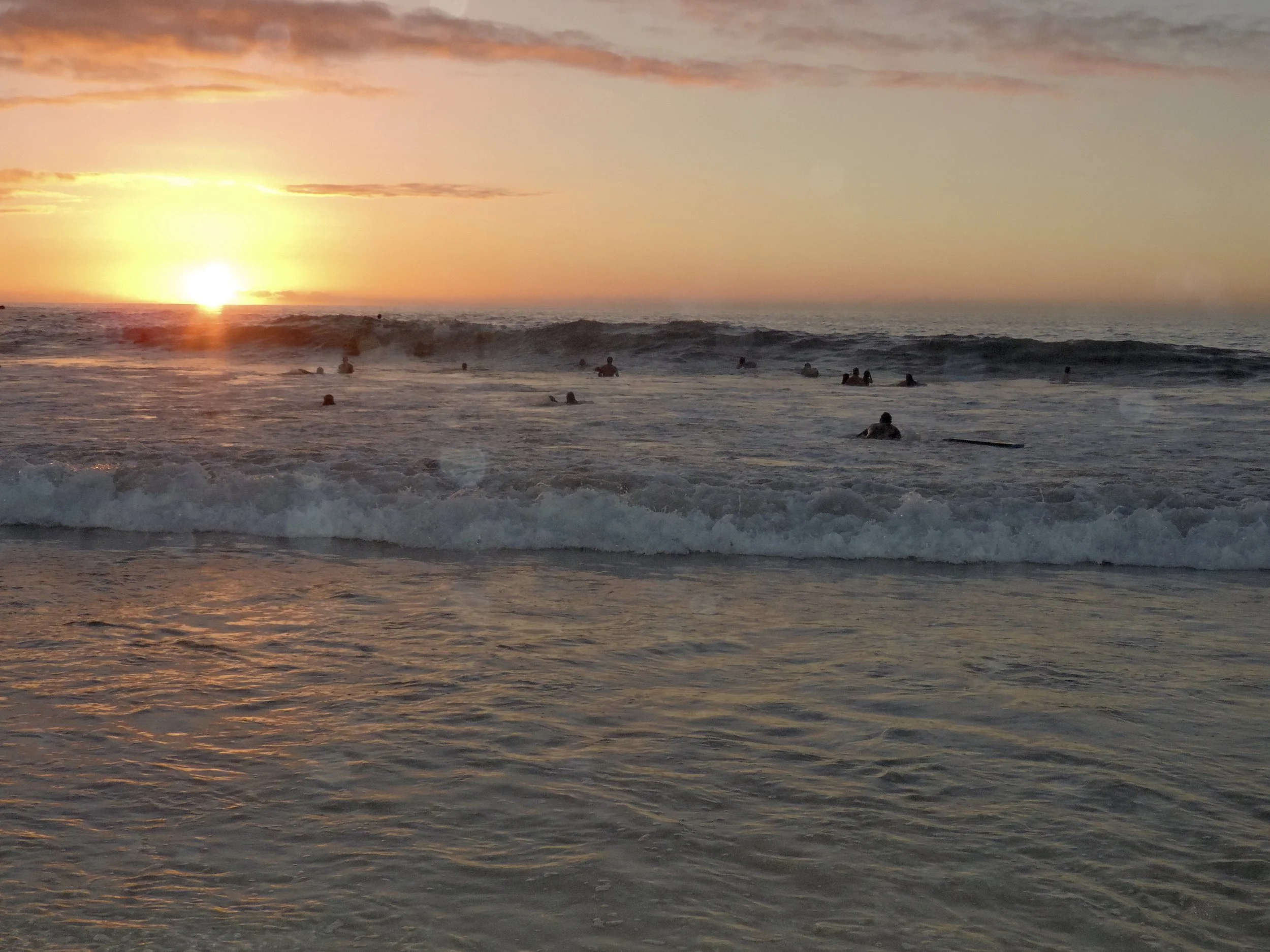 DSCN5293.jpg