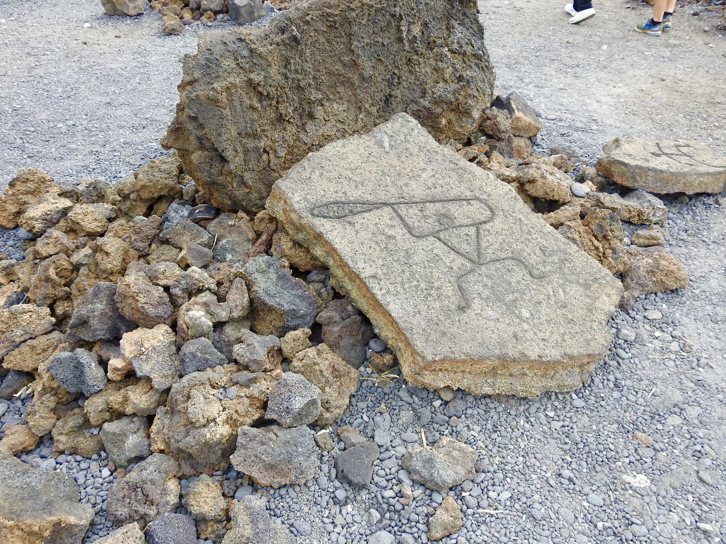 DSCN0884.jpg