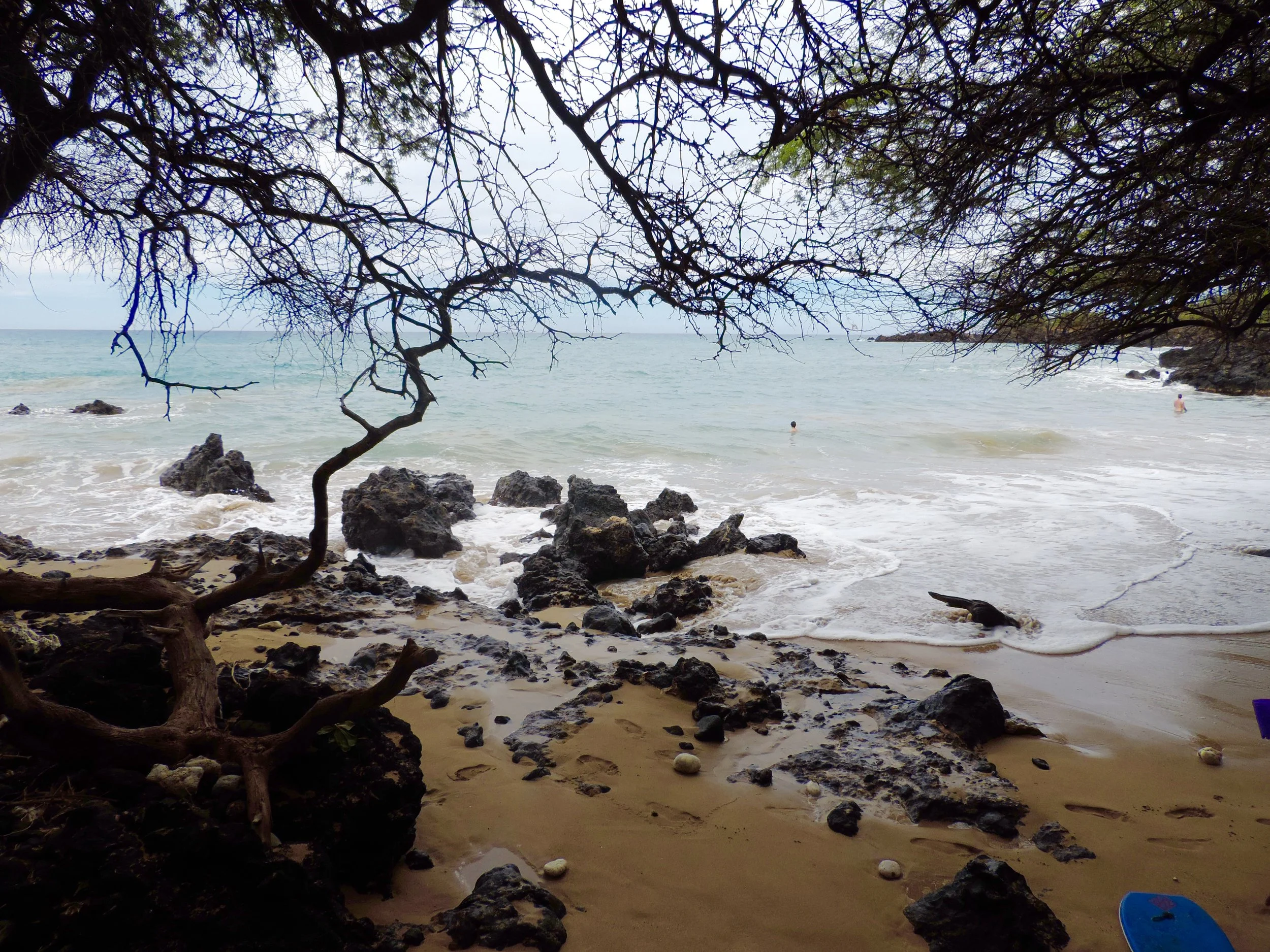 DSCN5327.jpg