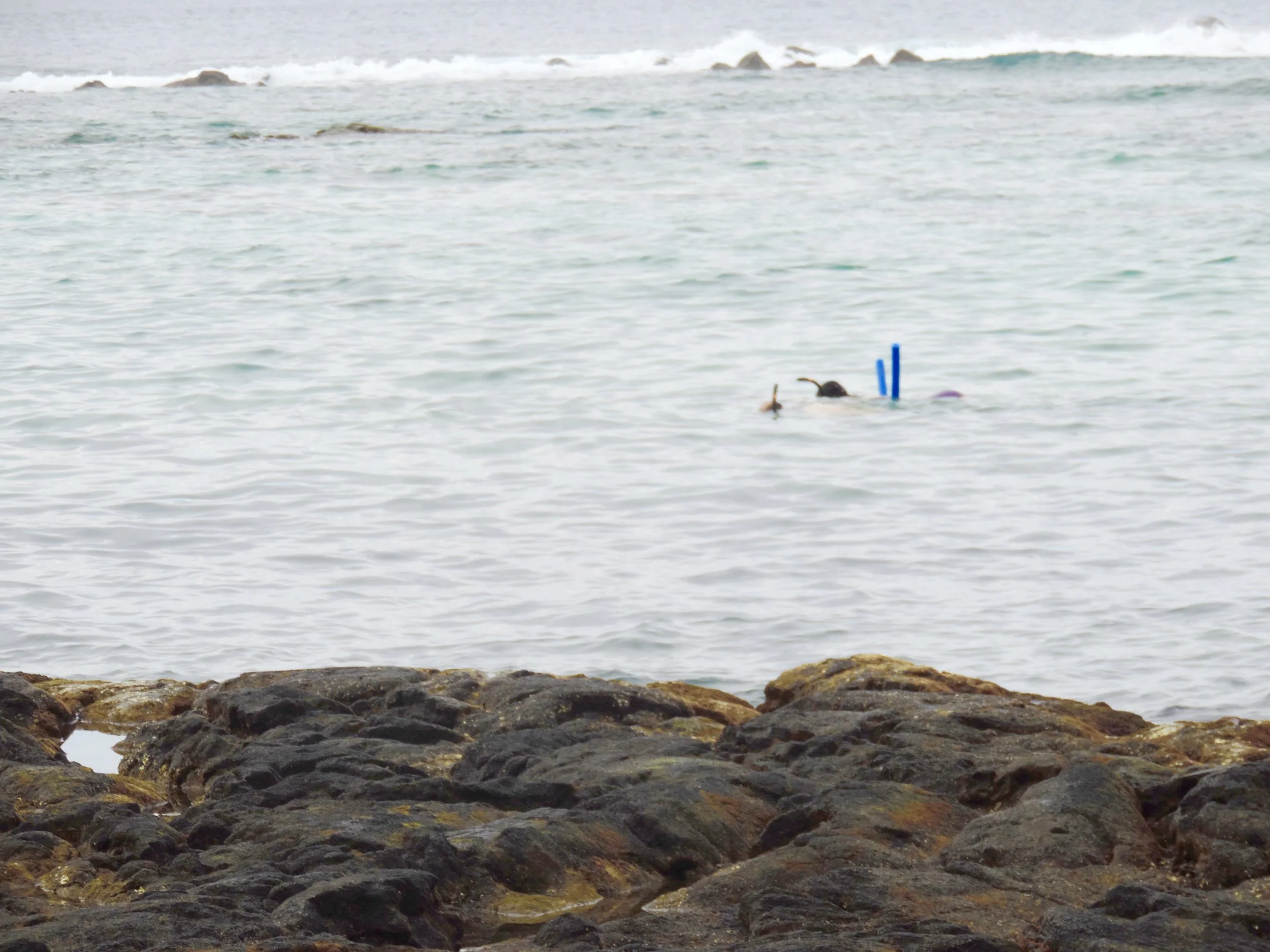 Me with my noodle curiously observing the fishies :P