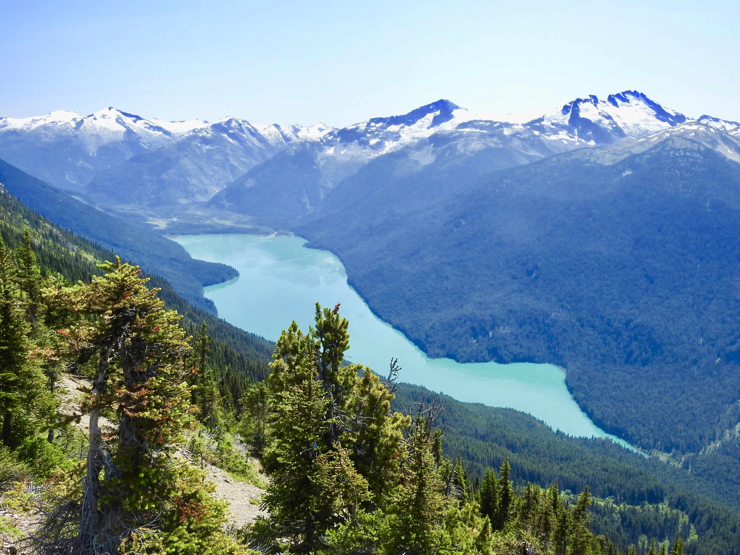 Trailblazing 2019: High Note Trail (Whistler Gondola)