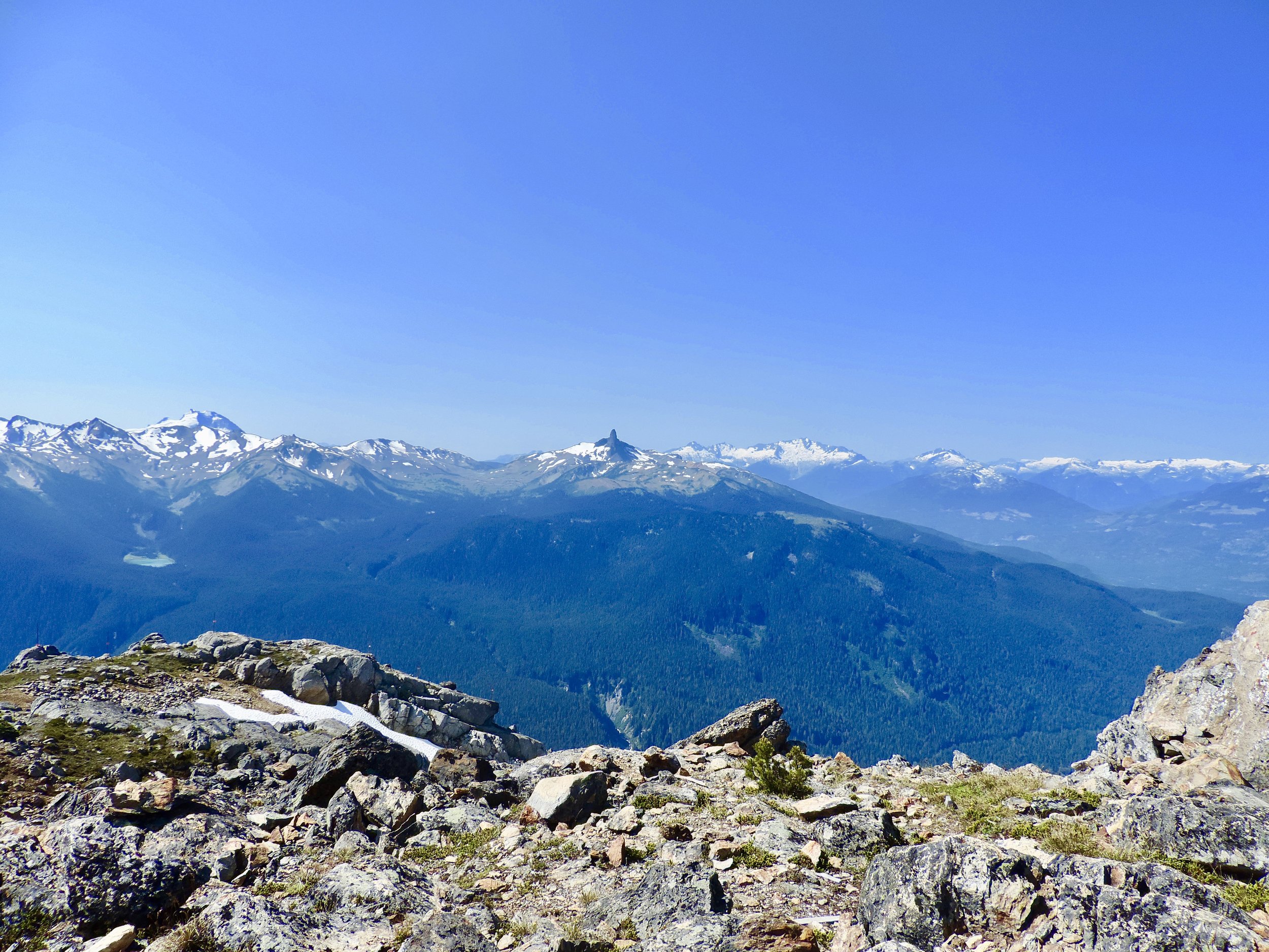 Protruding black tusk was a sight to behold