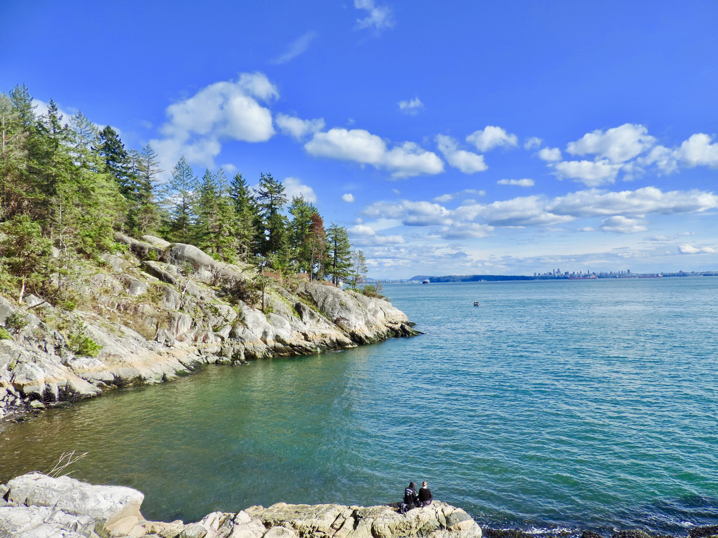 Trailblazing 2019: Lighthouse Park (Arbutus Trail)