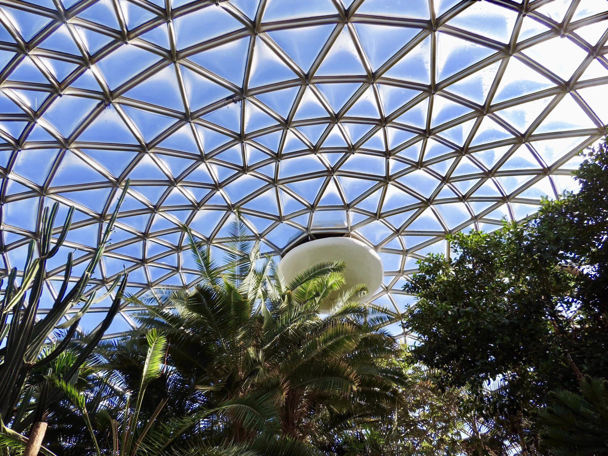 Bloedel Conservatory