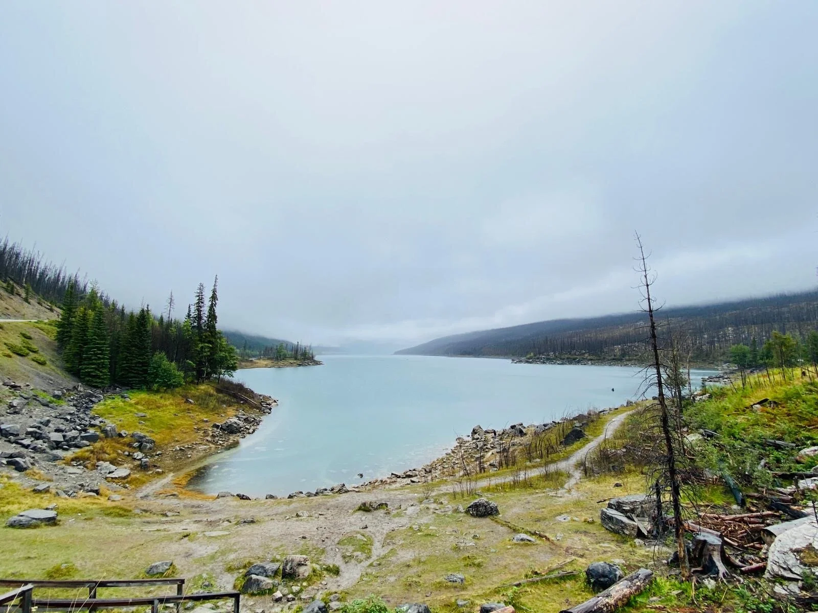 Rockies Roadtrip: Day 2 Jasper