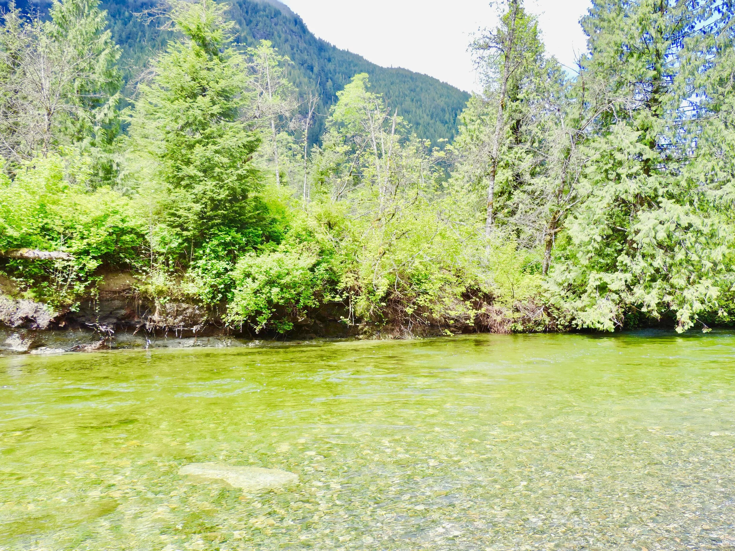 Trailblazing 2020: Gold Creek Falls