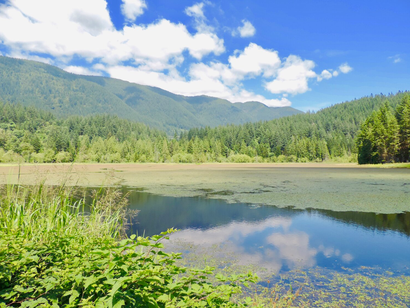 Minnekhada Regional Park Coquitlam