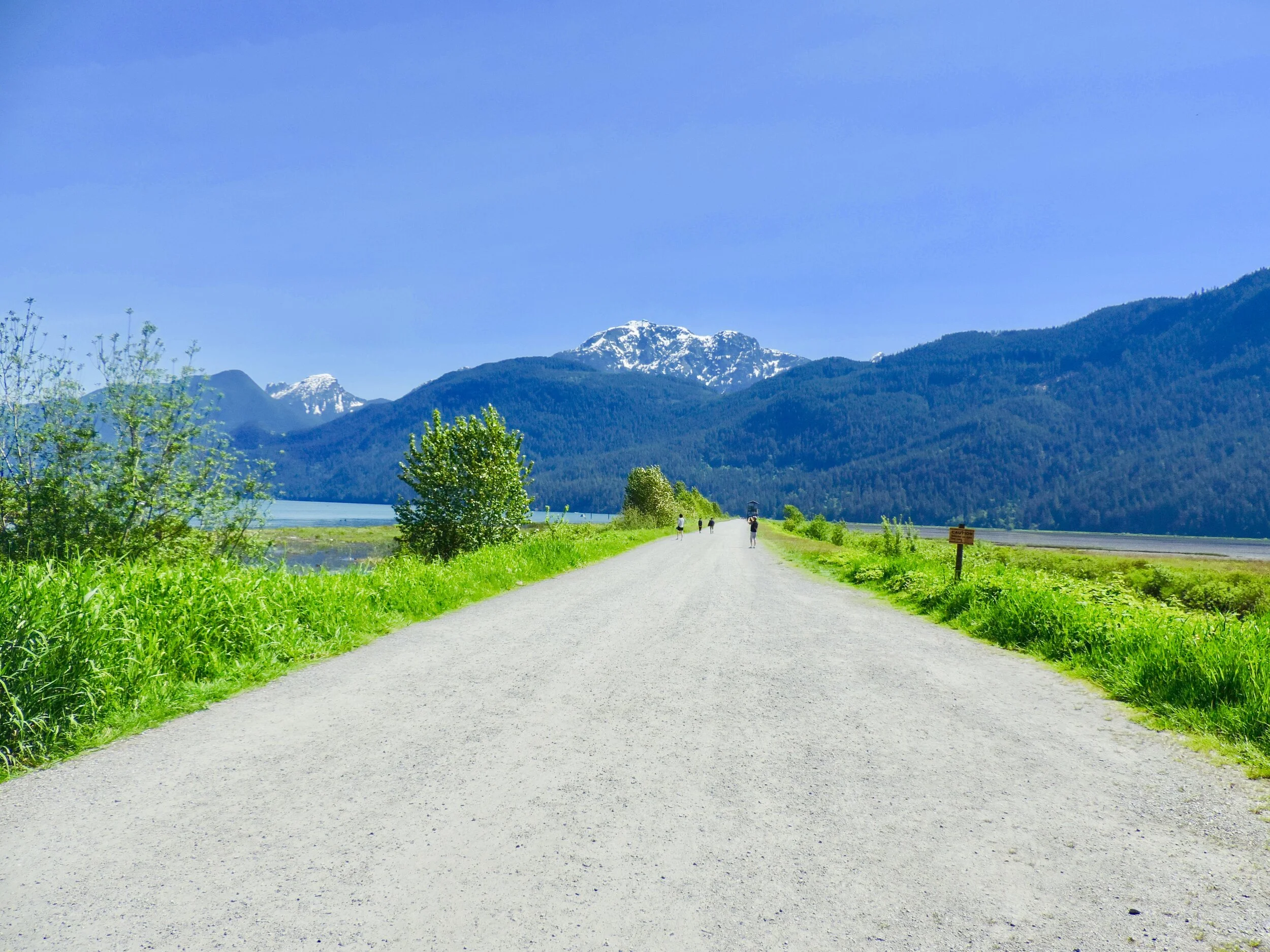 Trailblazing 2021: Katzie Marsh Loop