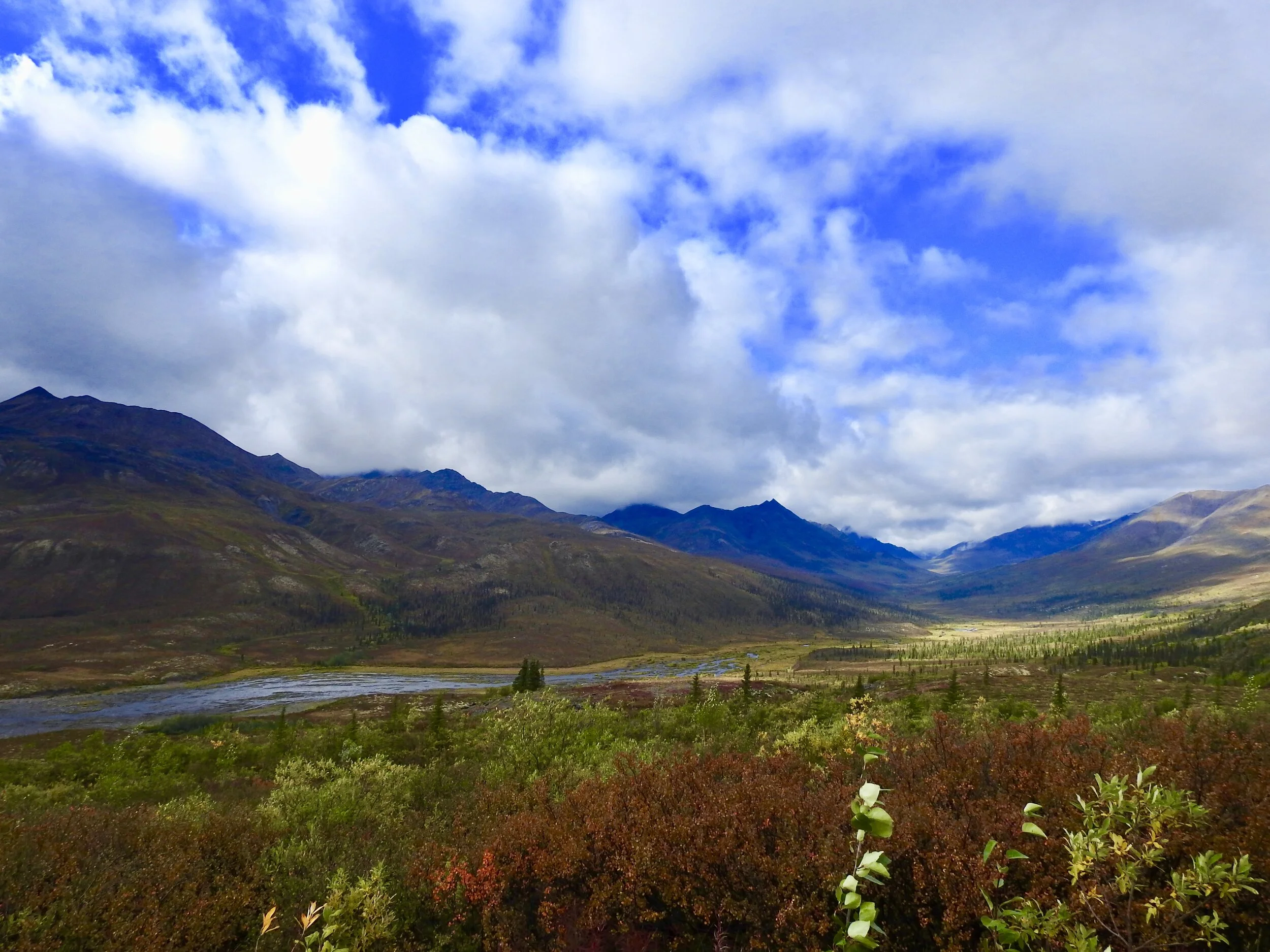 Yukon Roadtrip: Day 4 to Dawson