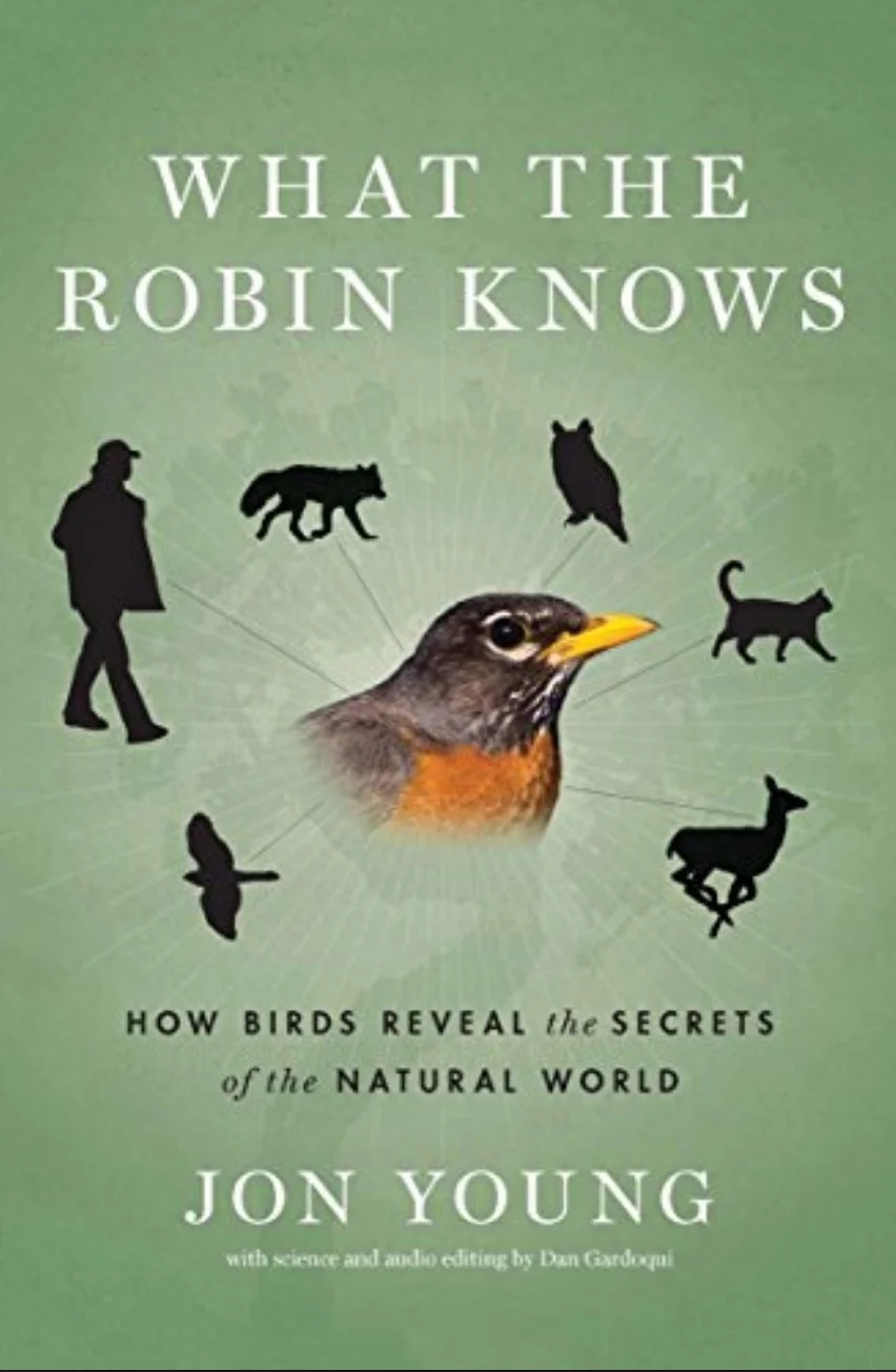 what the robin knows.jpeg