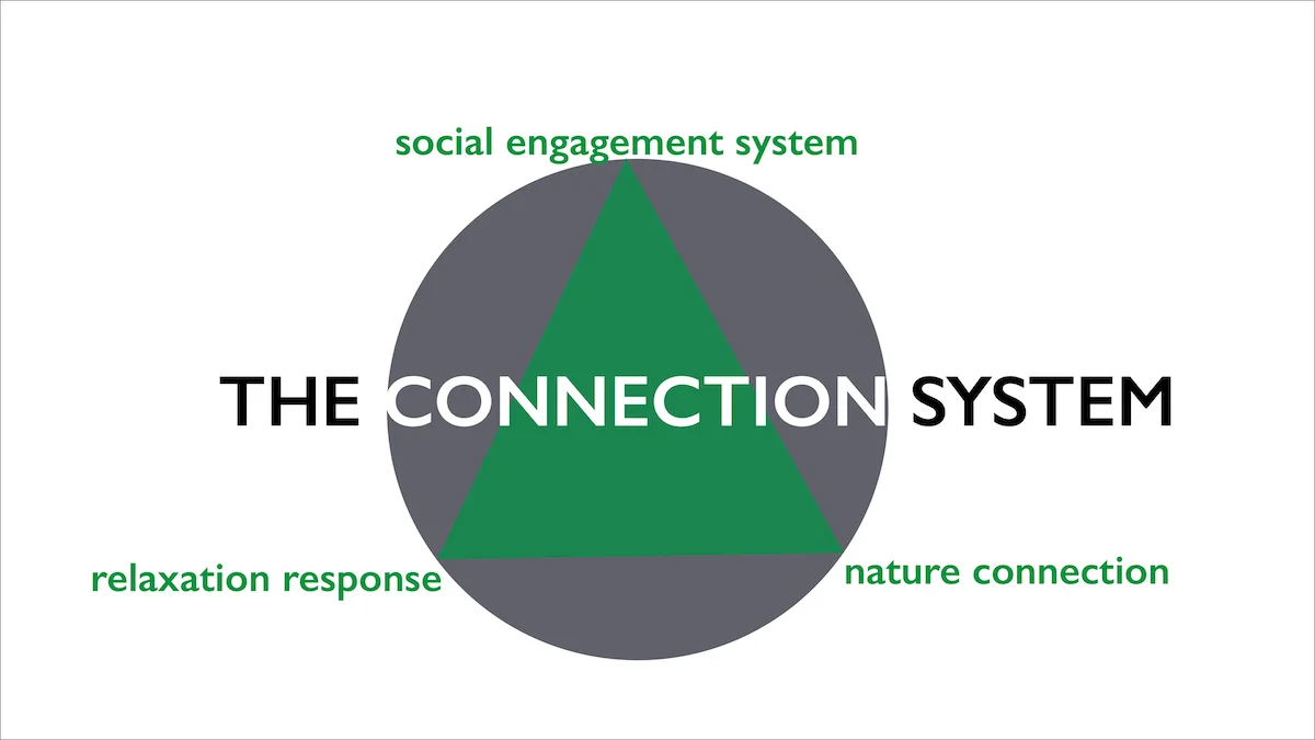 connection_system_1200.jpeg