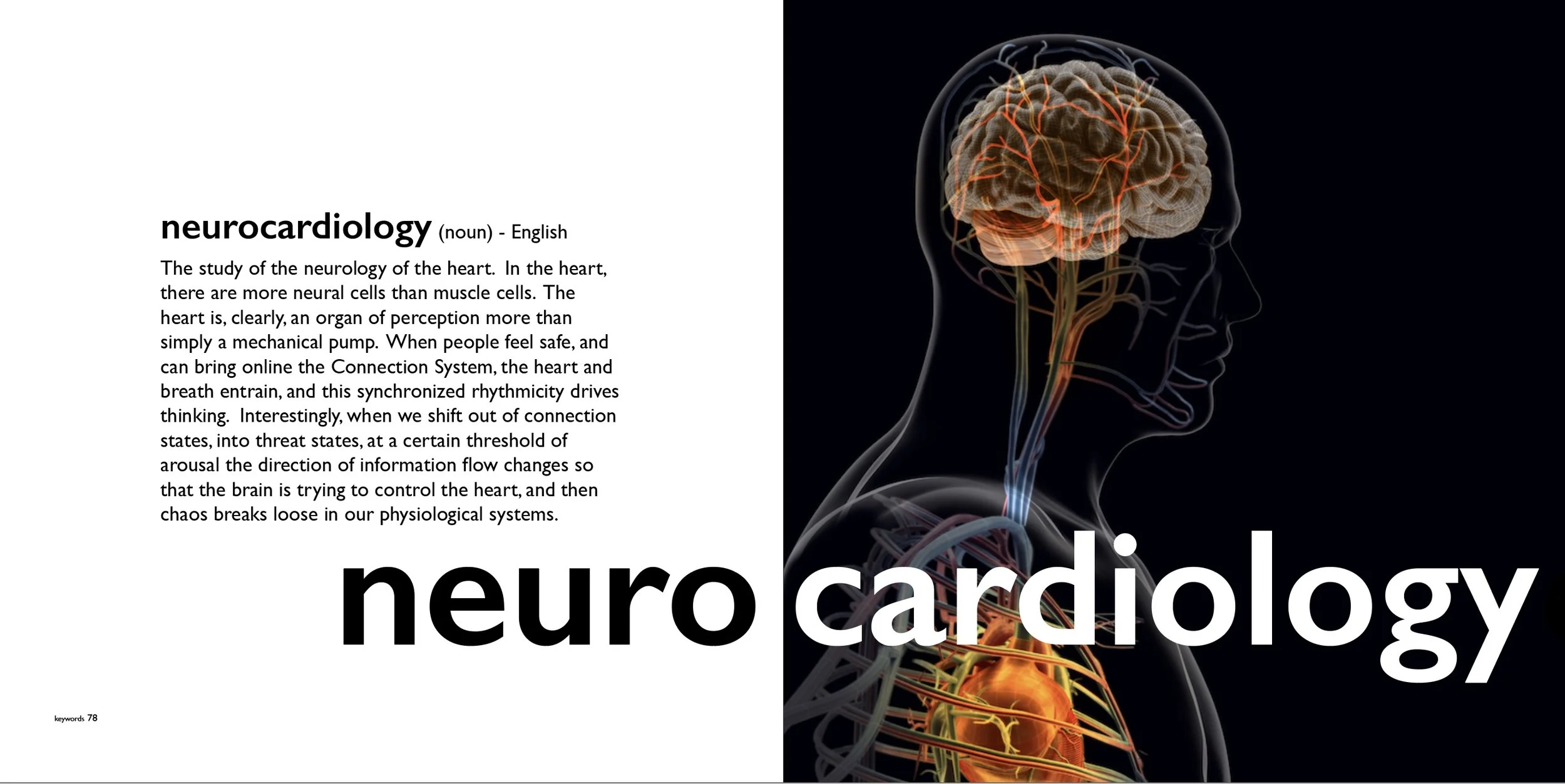 neurocardiology_keywords.jpeg