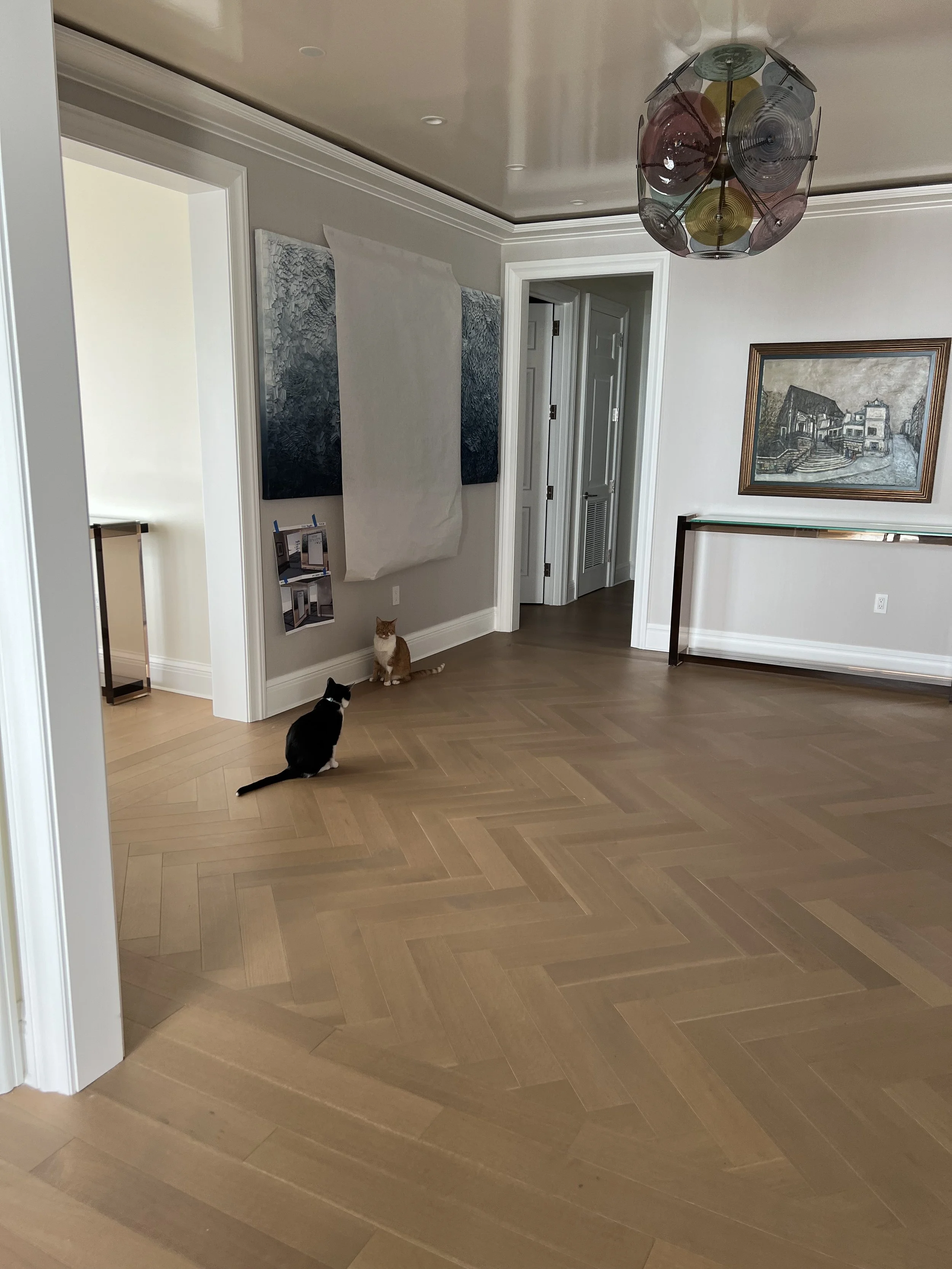 Foyer - Cat Approved