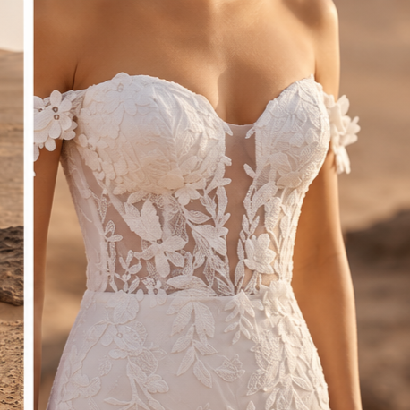 Image of bride in the desert wearing a stunning lace gown with off the shoulder detail.