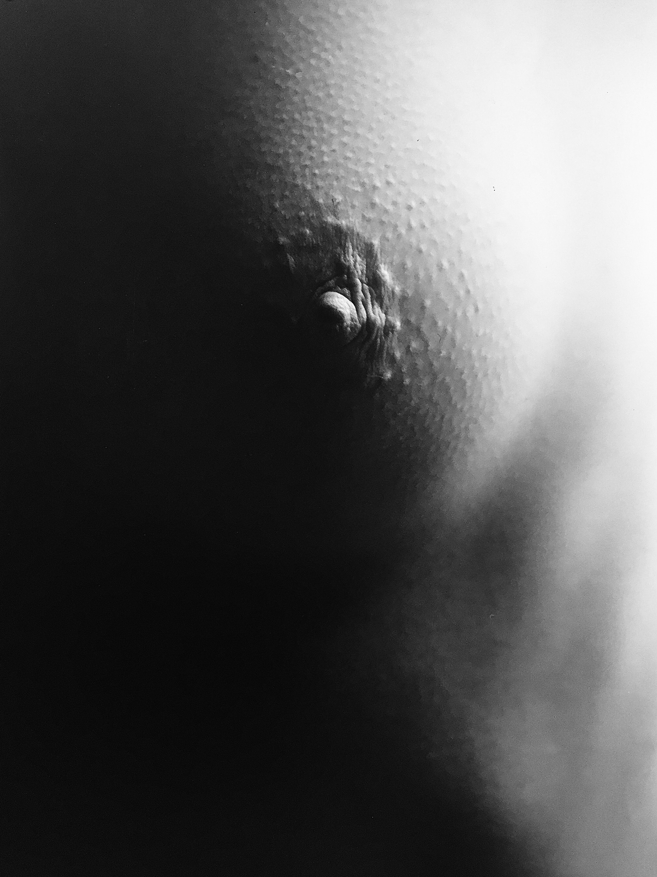 IMG_3973_2.jpeg
