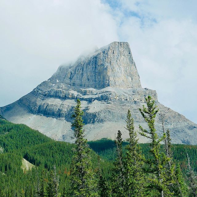 &gt;&gt; Throwback &gt; June 2019 - Jasper 📍#canadiannationalparks #canada #jasper #jaspernationalpark