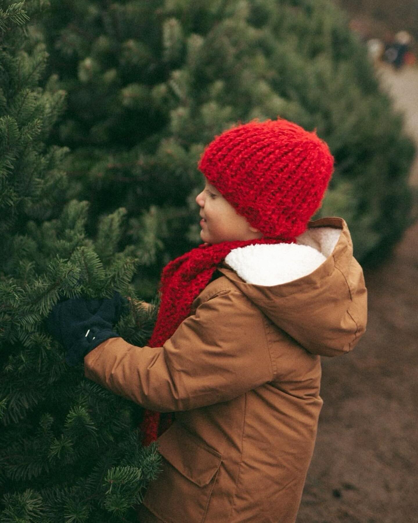 Guys, we finally got our tree last weekend. Yay! We&rsquo;ve never cut our own before, we always had an artificial one, but getting it at the Christmas Tree Farm was a fun experience. My kids loved running around and I guess they were more excited ab