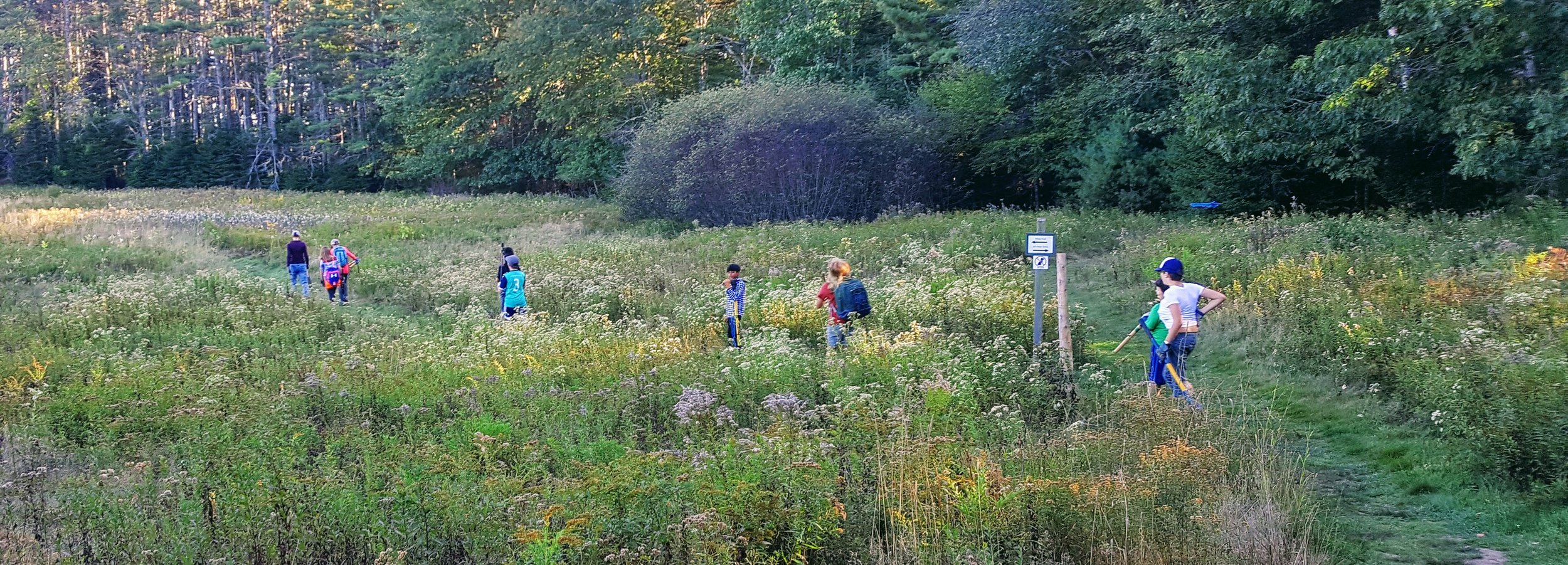 20171002_161703_001.jpg