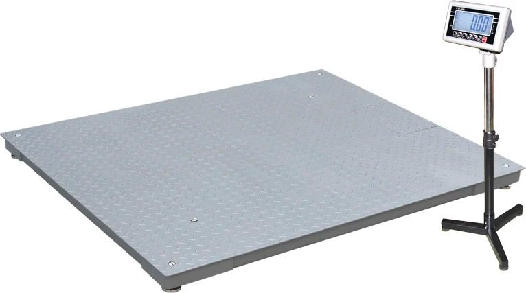 floor scale.jpg