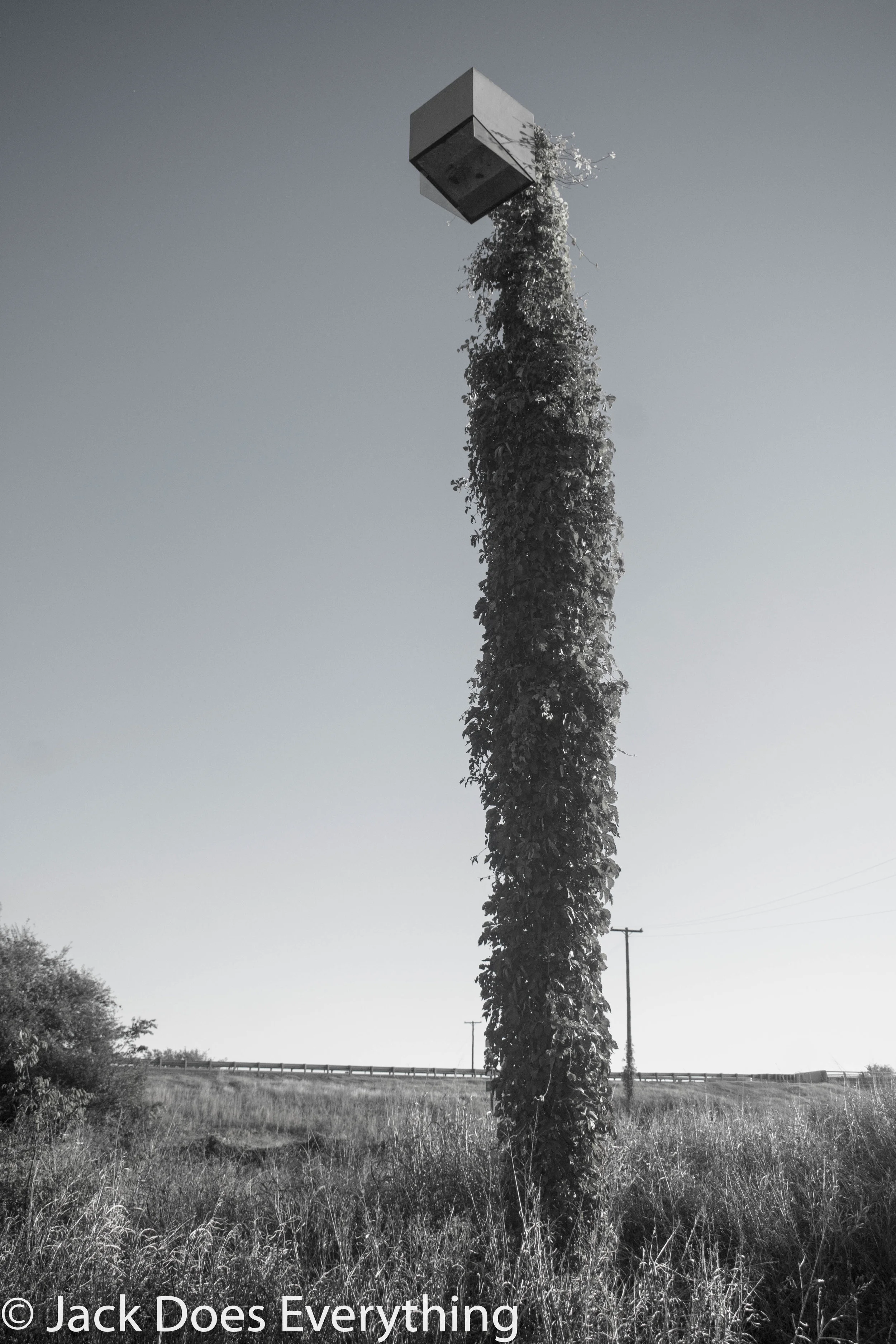 DSC_0151.jpg