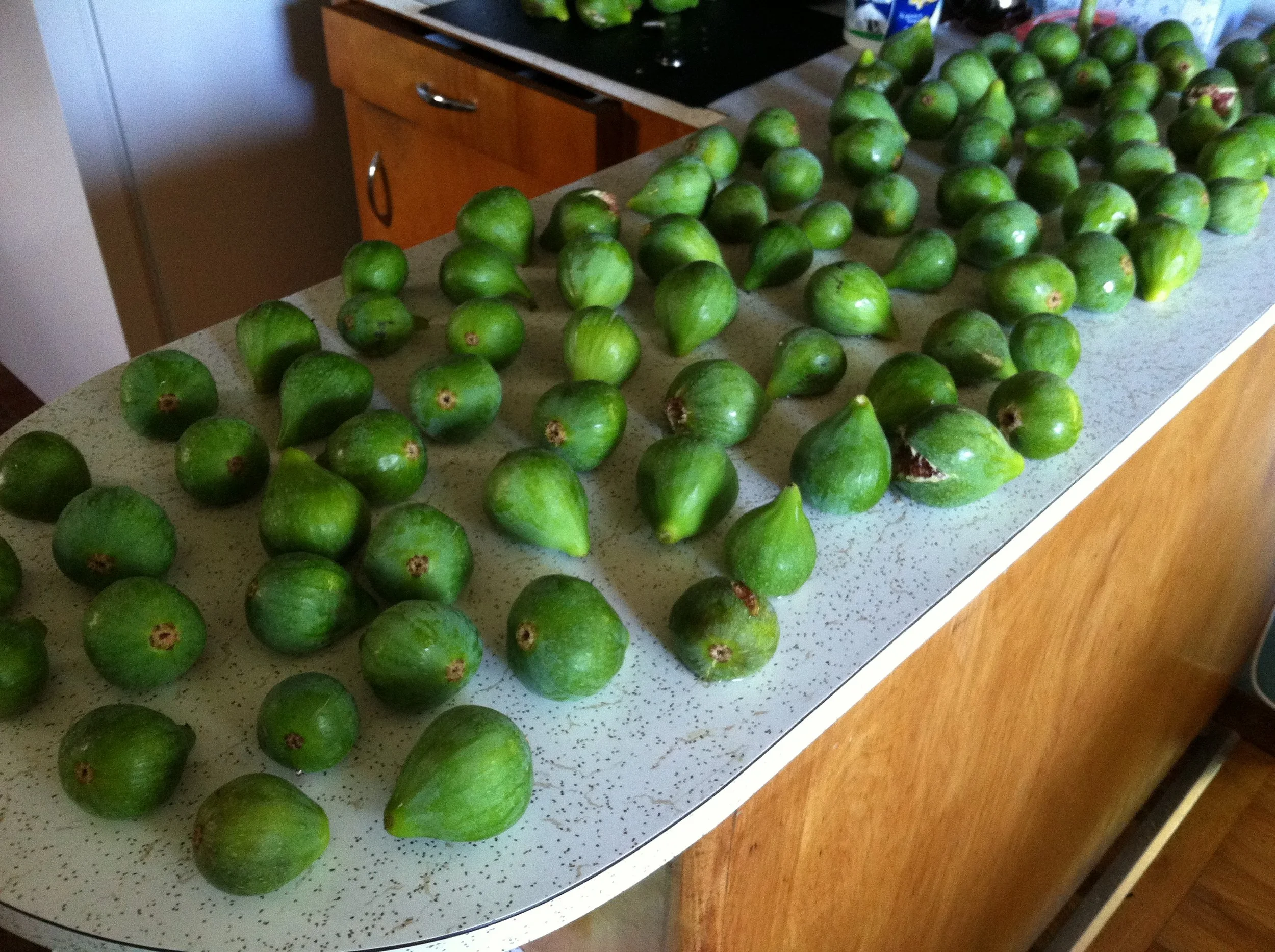 FIGS!