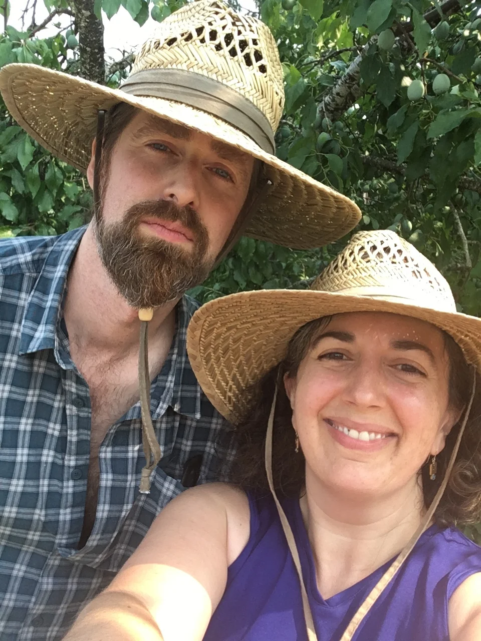 Have you seen these people sweating and taking down trees in your neighborhood?