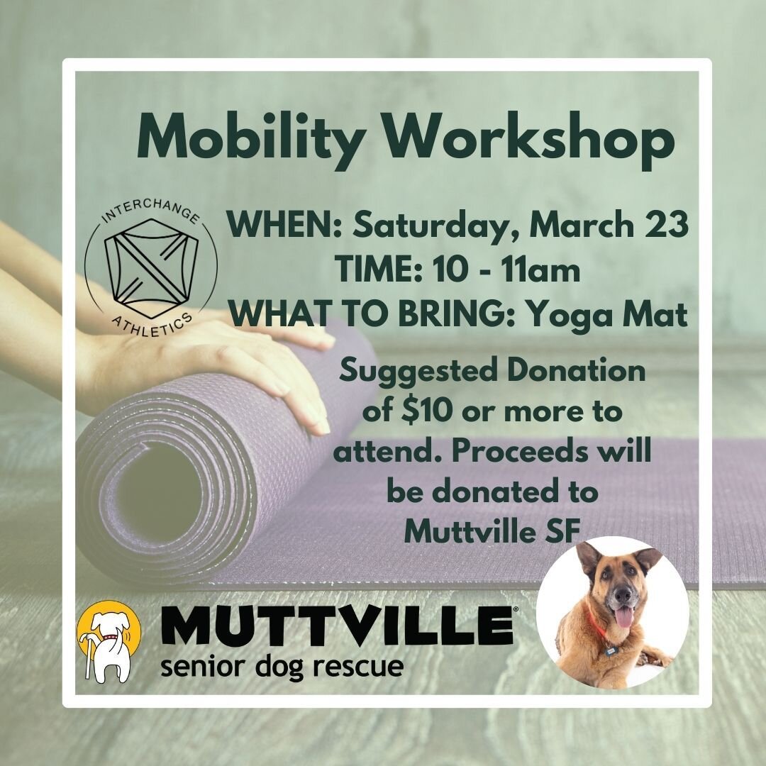 Come Join Team Interchange for a Mobility Workshop this Saturday, March 23 at 10am! 

Our very own Interchange member, Sam Esver will be leading us through a vinyasa style class that will link breath with movement. You will be guided through a series