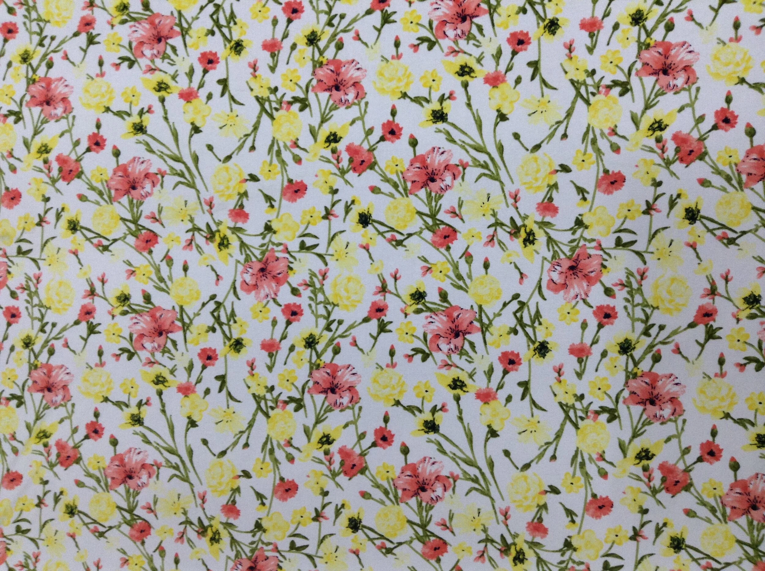 ST037 SAKARI PRINT.JPG