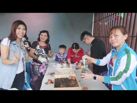 Senibong Cove Mini Fun Fair 2016