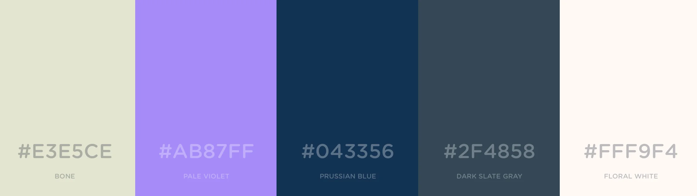 color palettejacket.jpg