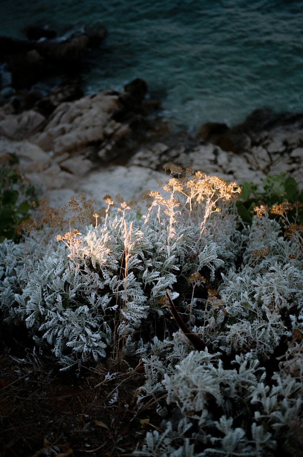 Tomislav Marcijuš, “Adriatic Nostalgia 28,” Croatia, 2020