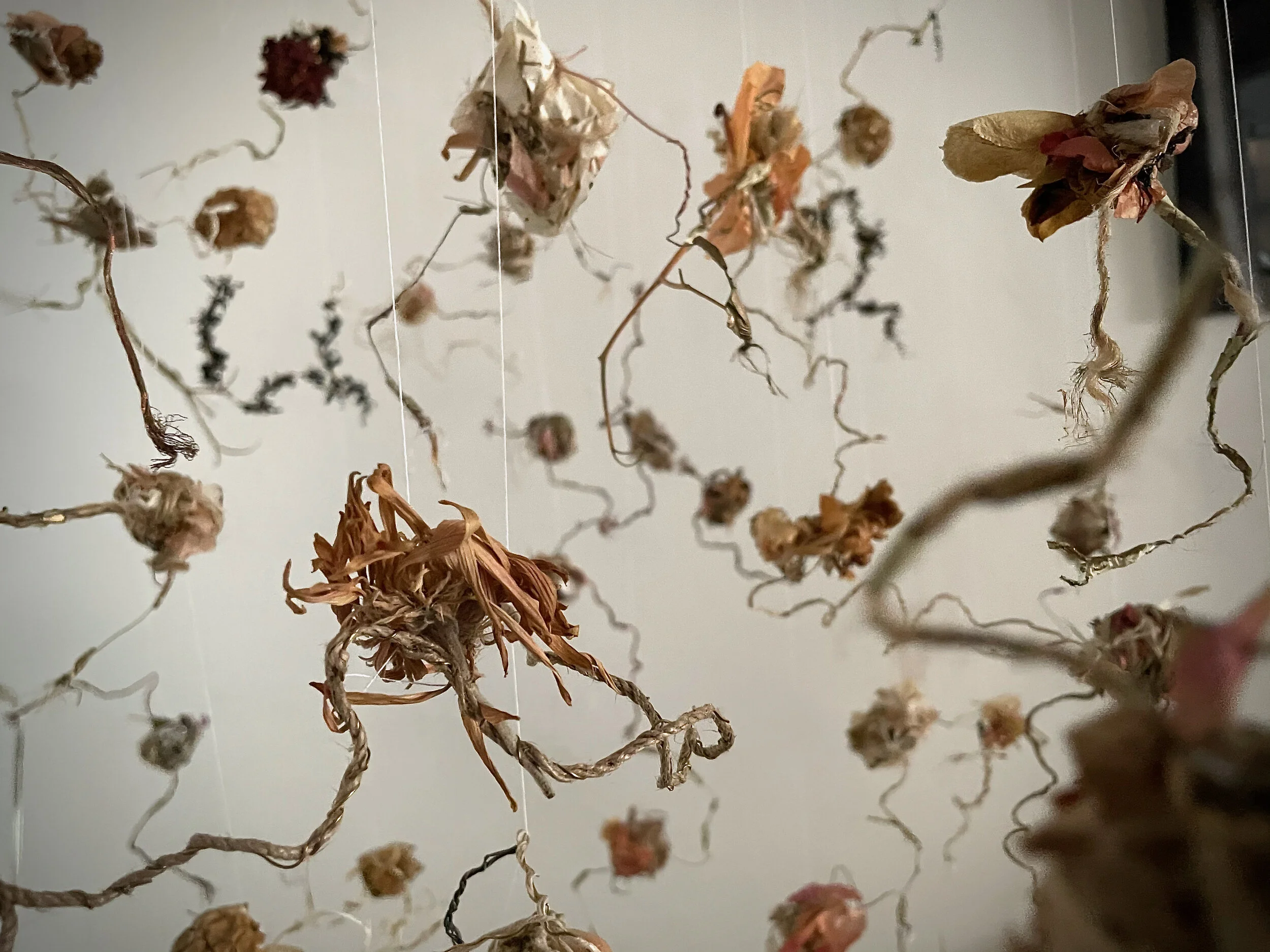 Neuroplasticity ~ chaussette b.
