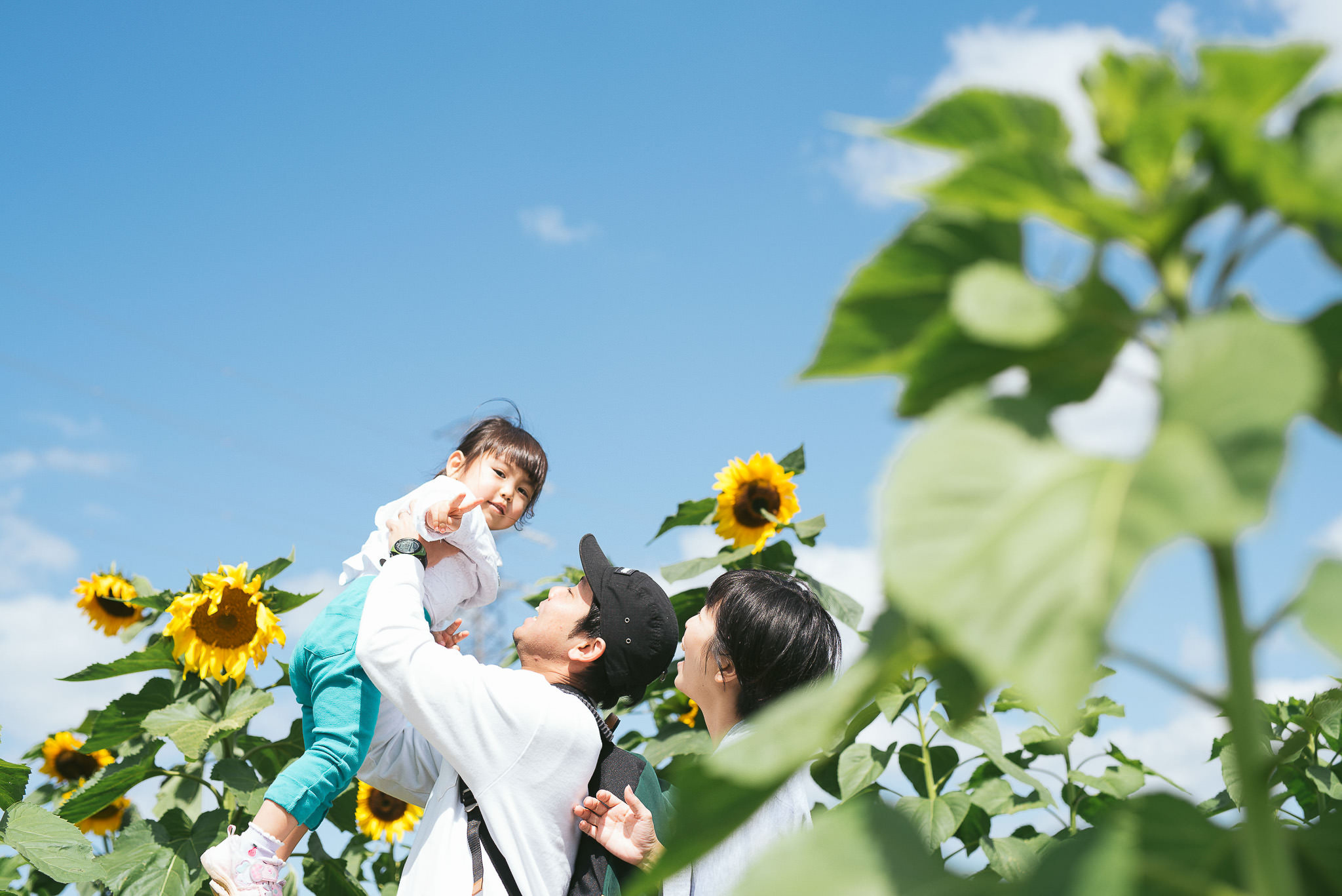 日本一早いひまわりを見に行こう ひまわりin北中城18 沖縄フォトスタジオ クッポグラフィー沖縄スタジオ 七五三 百日祝い 誕生日 記念写真