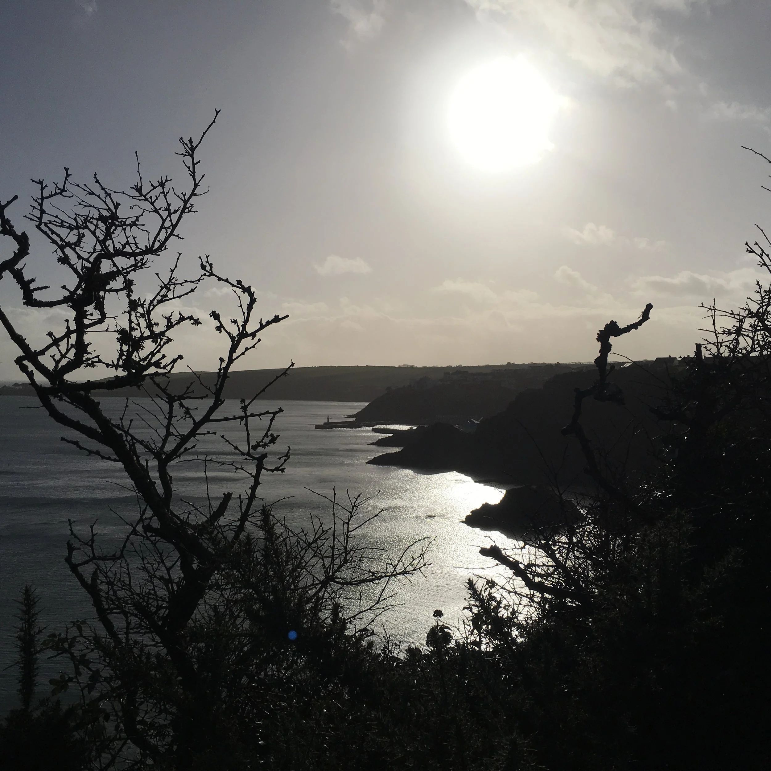 Resilience & sensitivity 