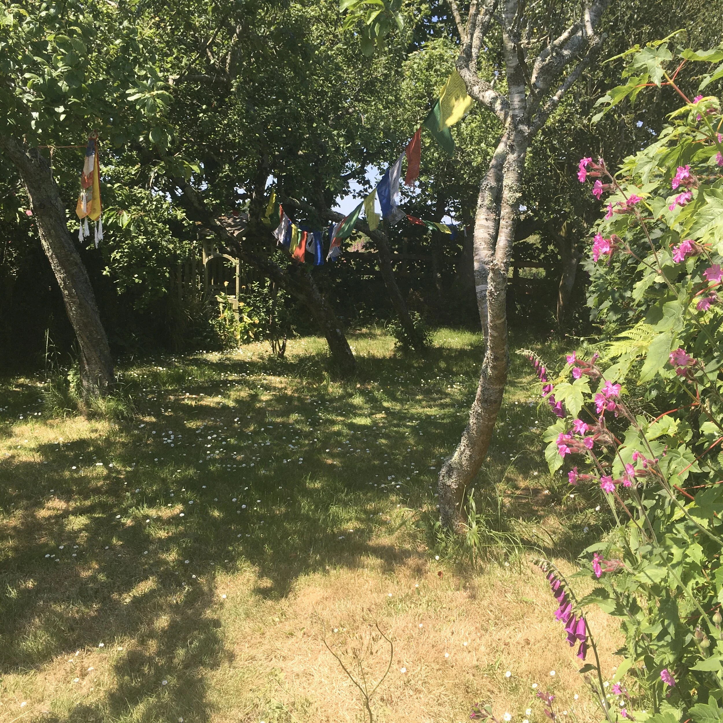 Healing sounds &amp; nature, outdoor sound bath