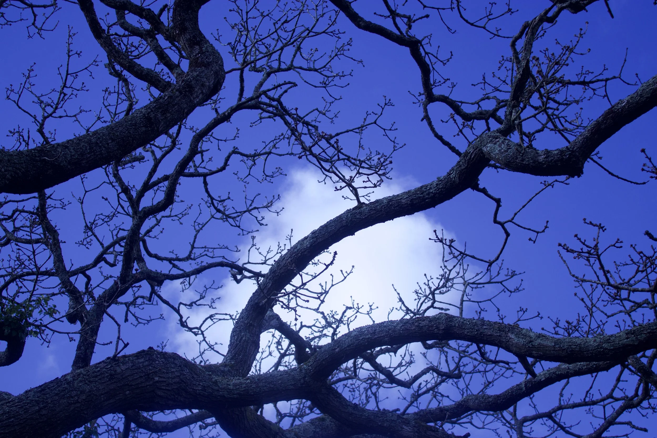 How to integrate a sound healing? 5 top tips