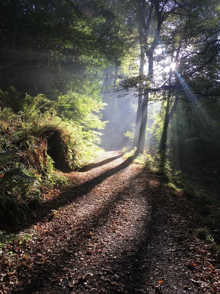 Earth Sea Sky Autumn retreat for women - Rooted Rhythms