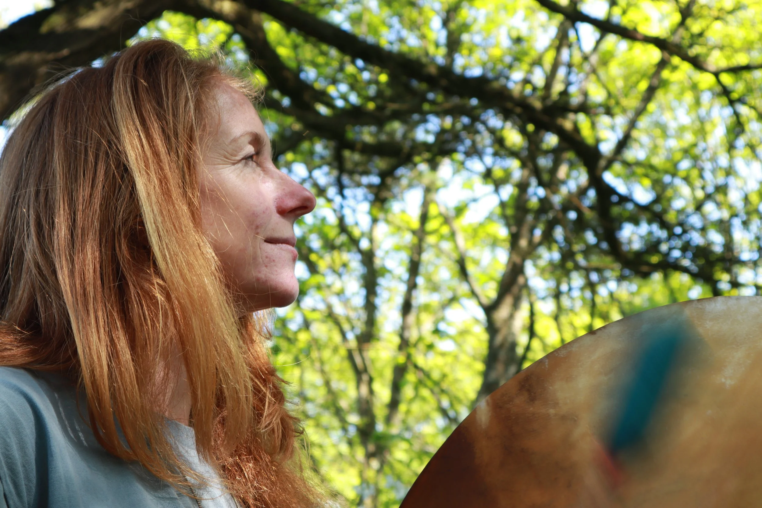 Lavender soundscape; summer sound journeys in nature part 1