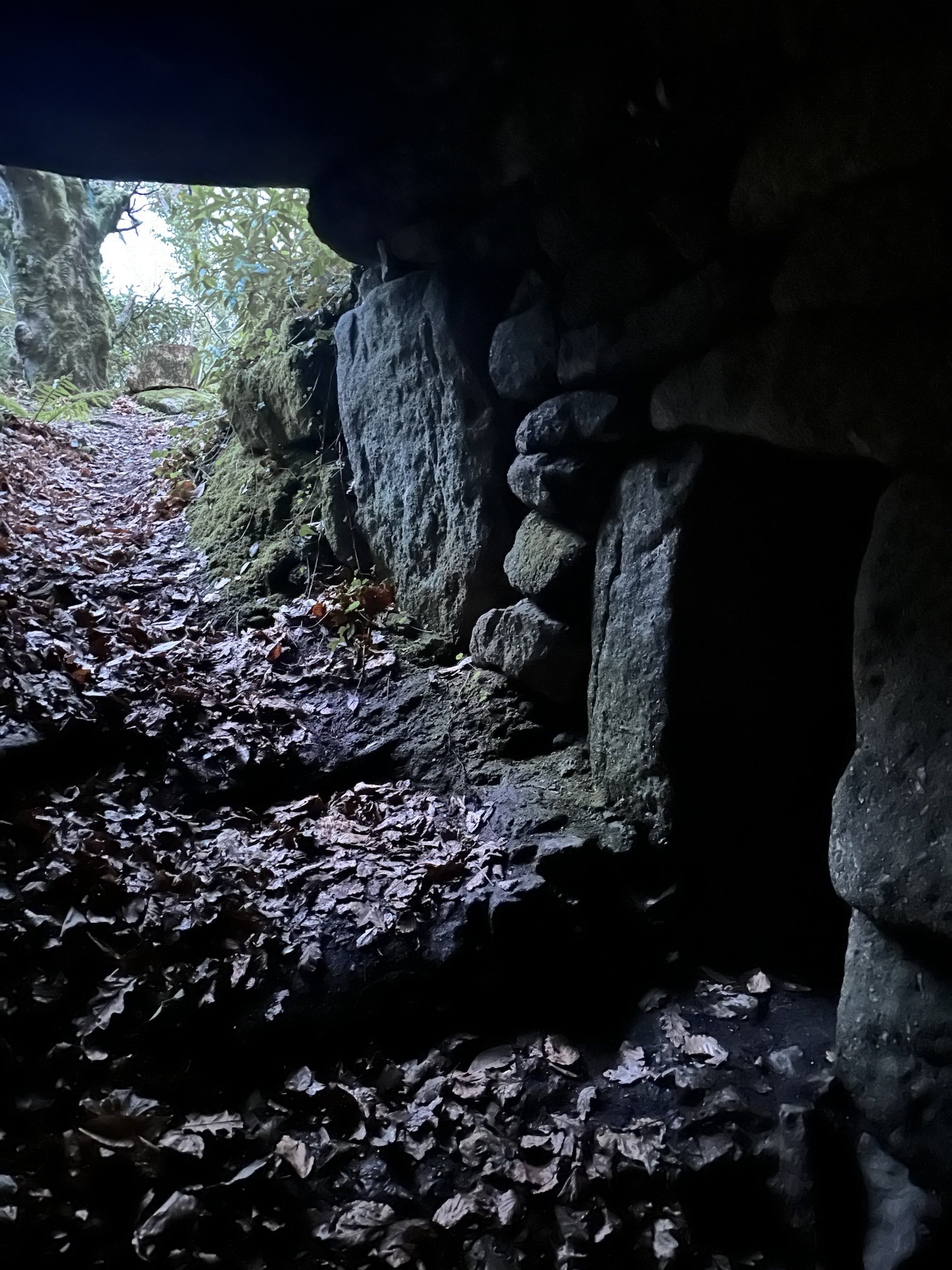 Descending into the fogou ...