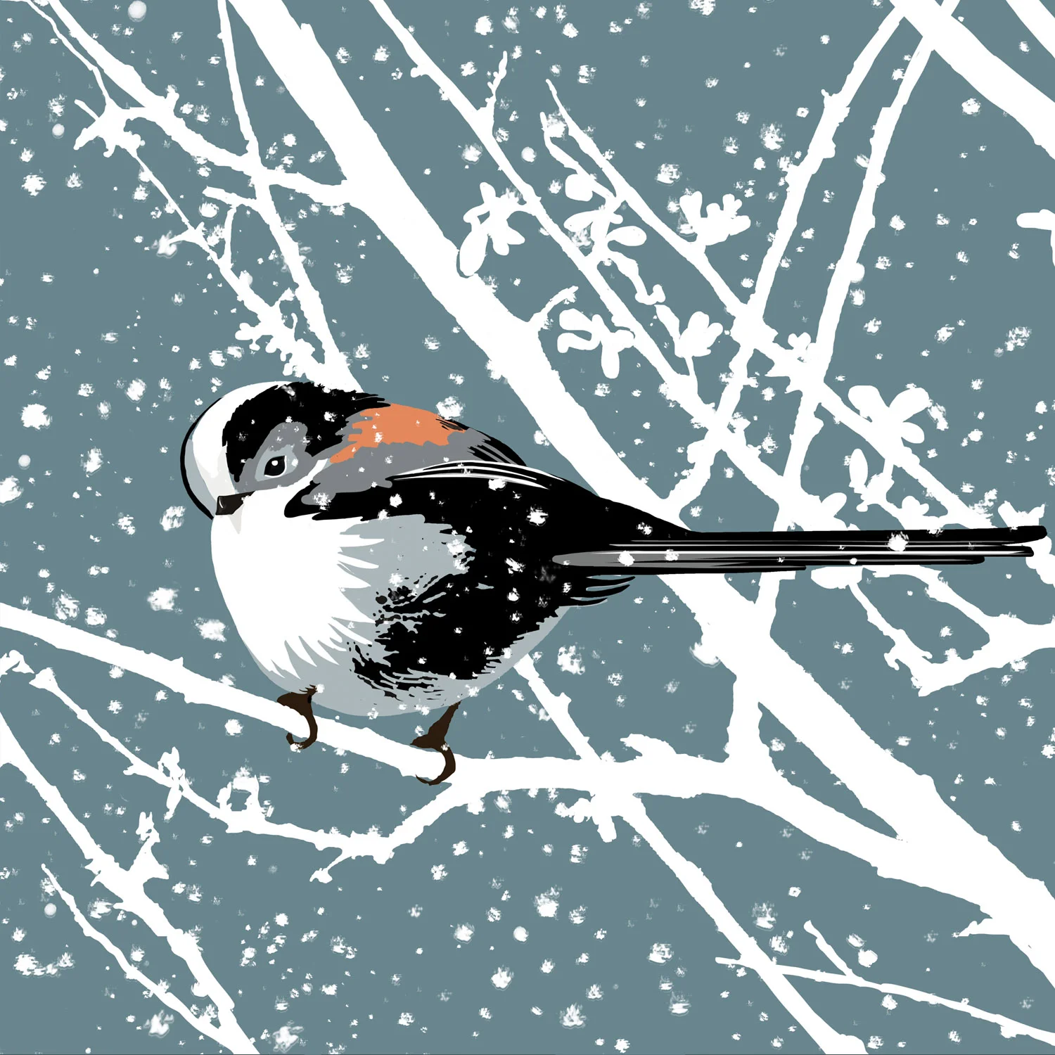 LONG TAILED TIT IN THE SNOW.jpg