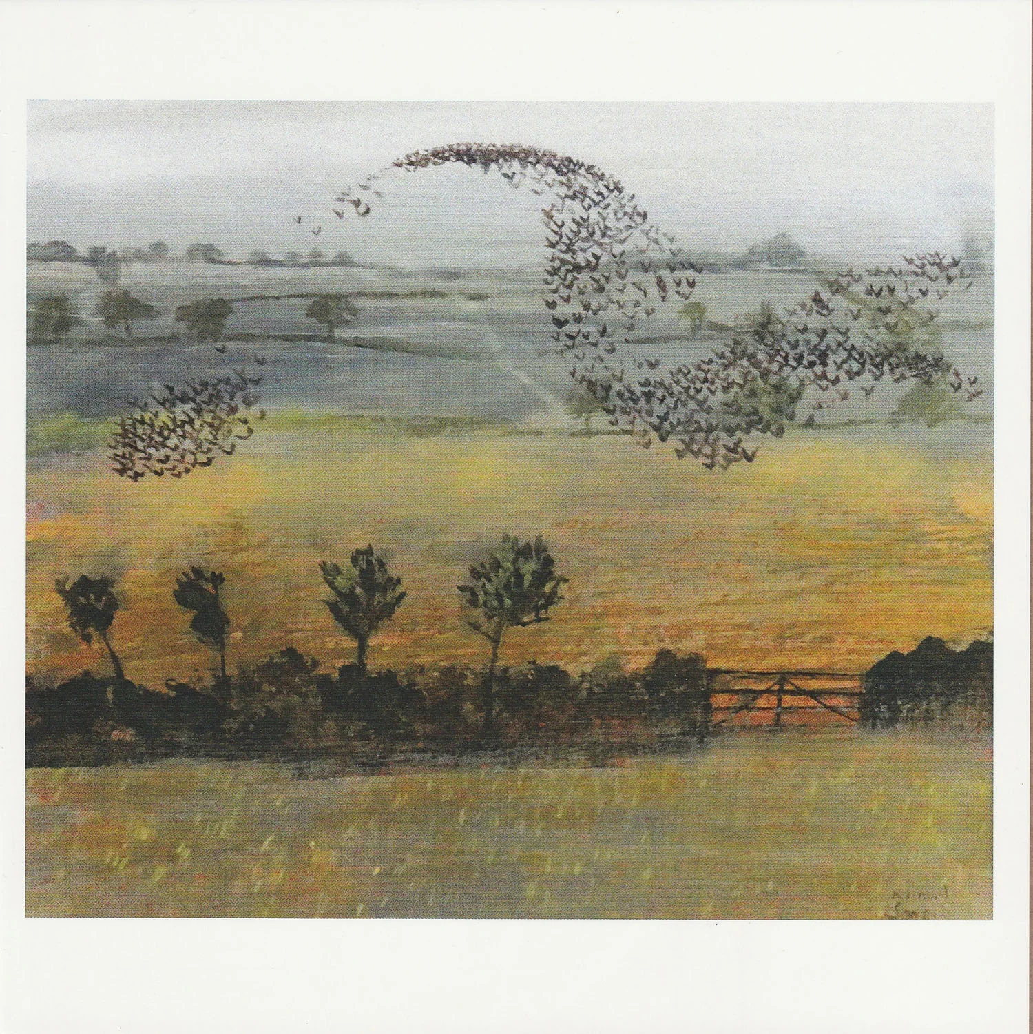 starlings-richard-sorrell-rsw02.jpg