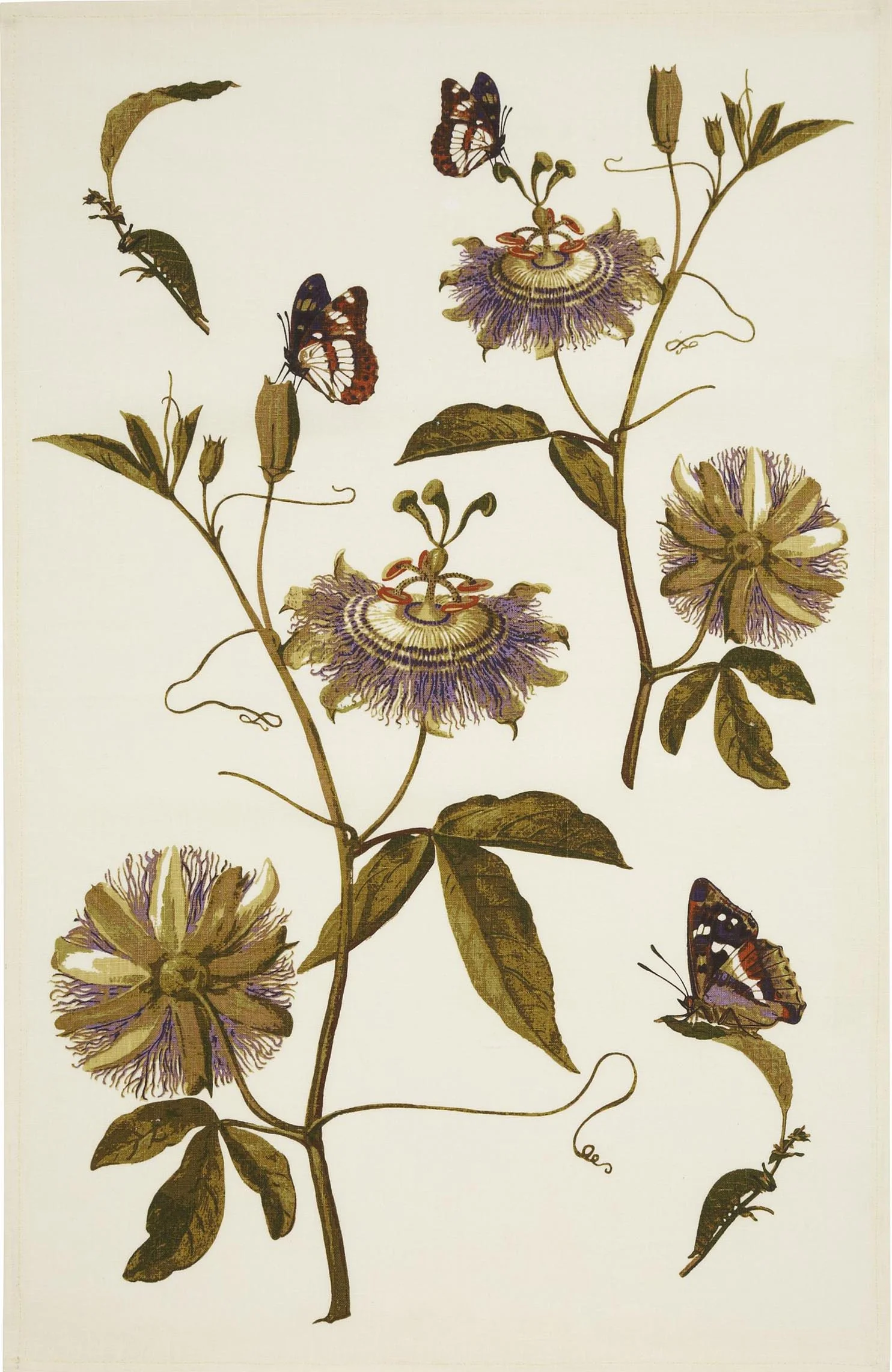 rhs-passiflora-tea-towel.jpg