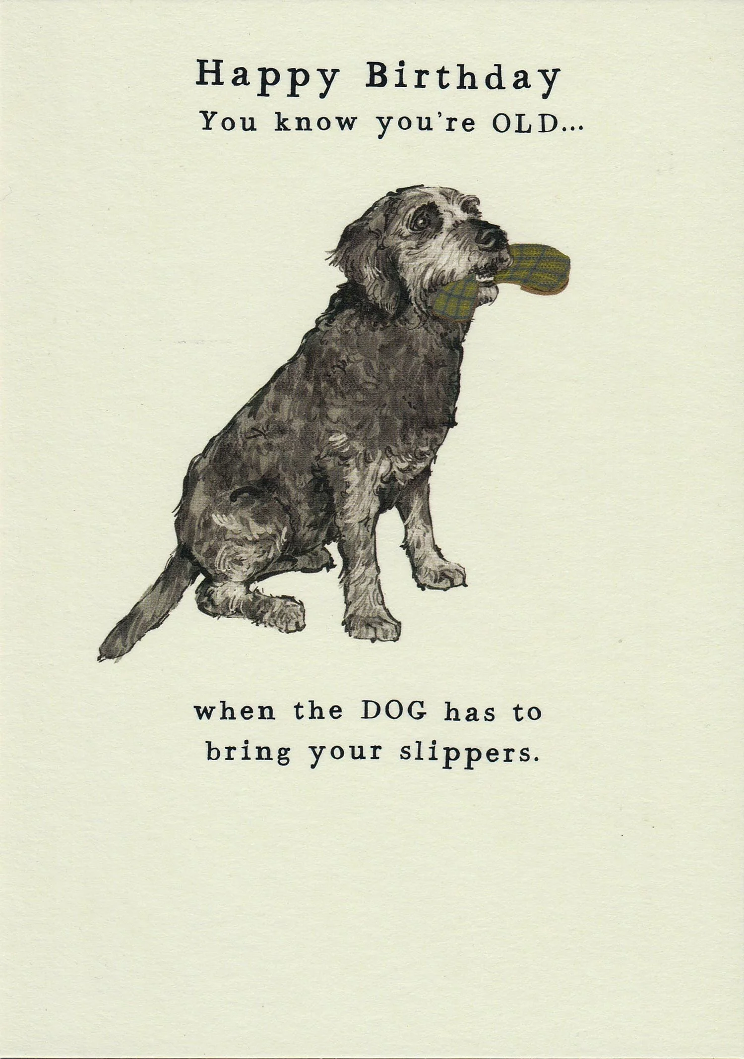 dog-slippers-birthday-pigment.jpg