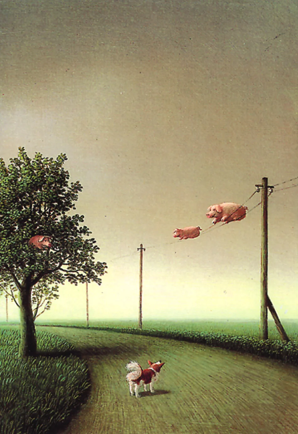 zugschweine-sammeln-sich.jpg
