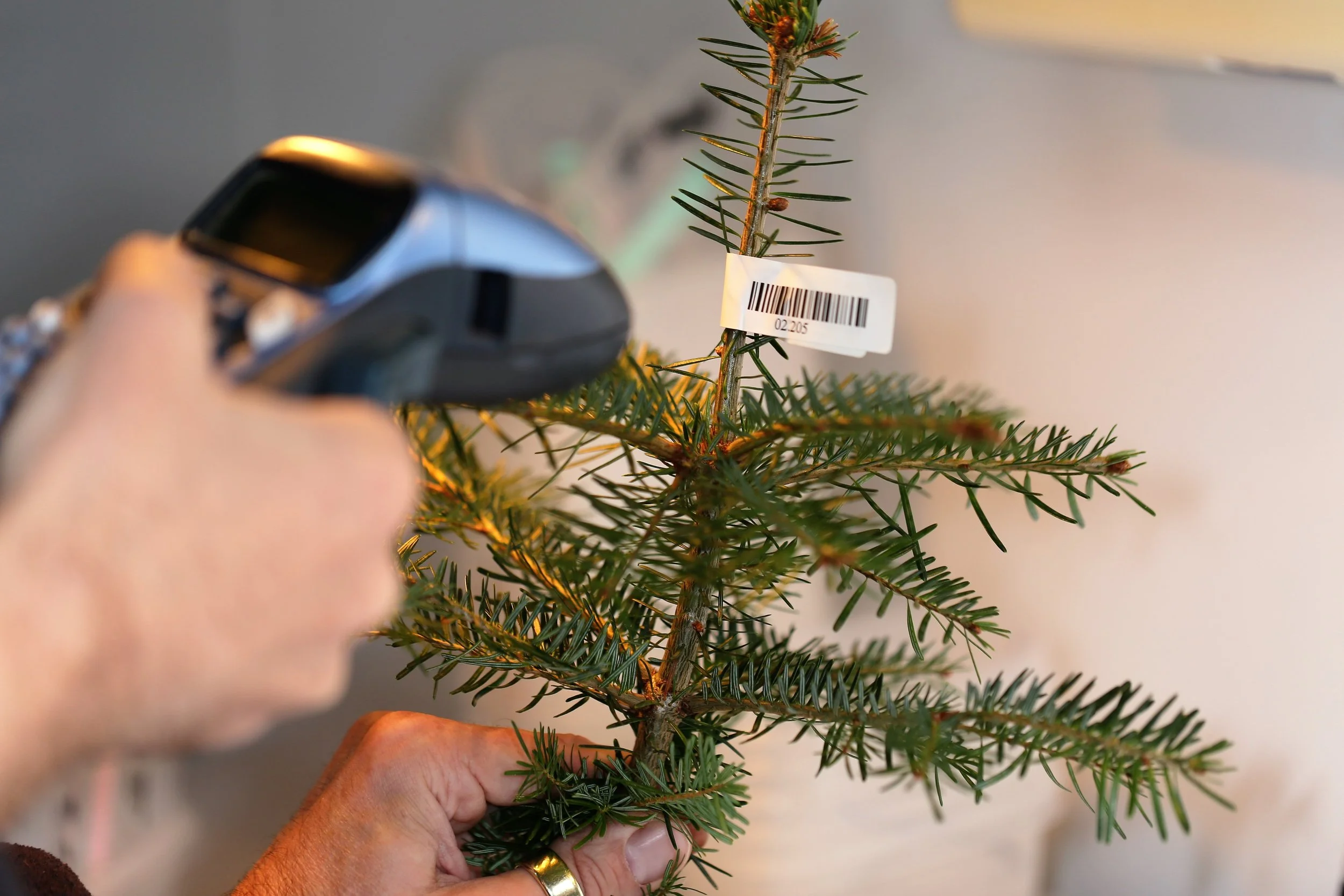 Testing and experimenting