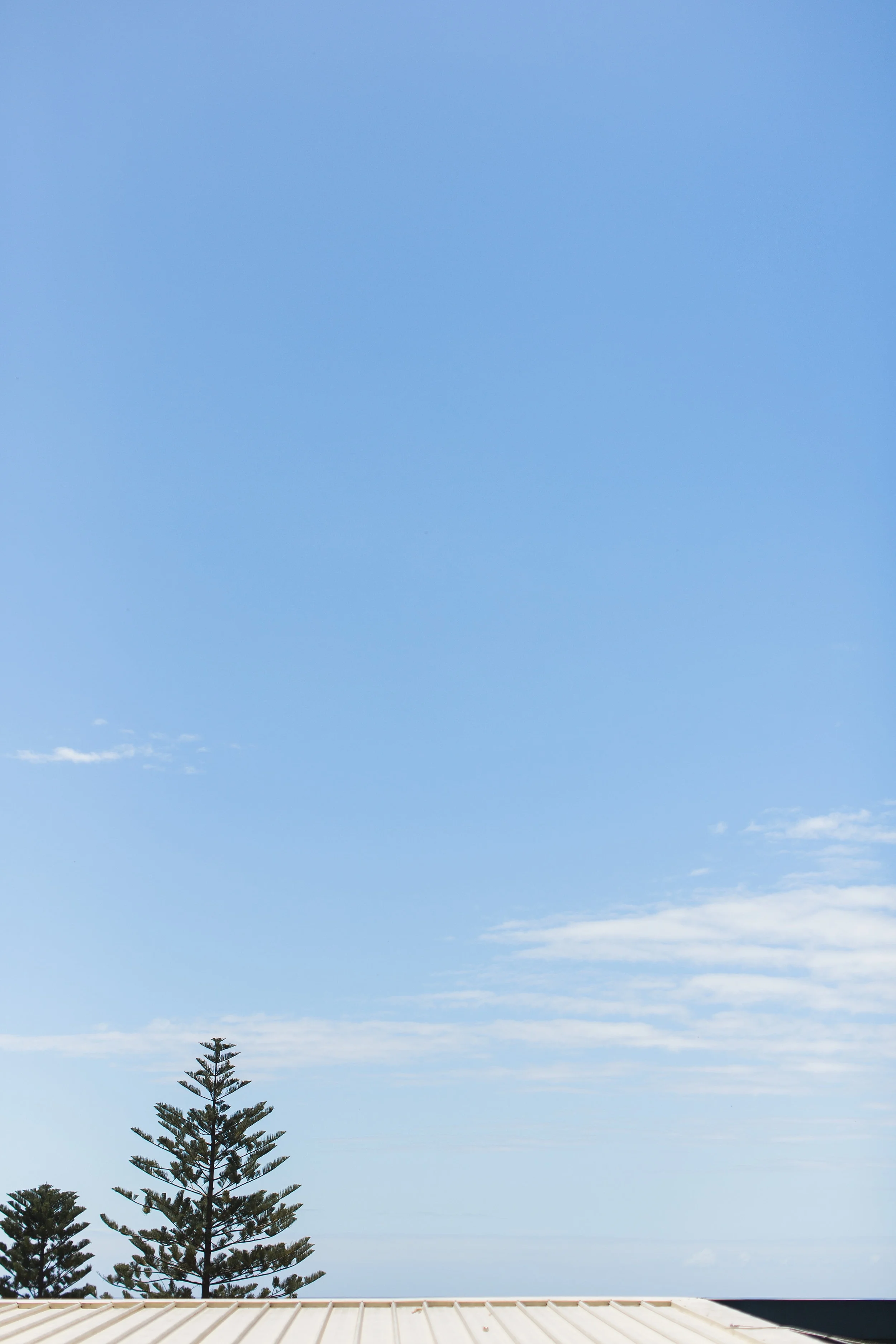 moby_dicks_whale_beach_wedding_photography_0161-min.jpg
