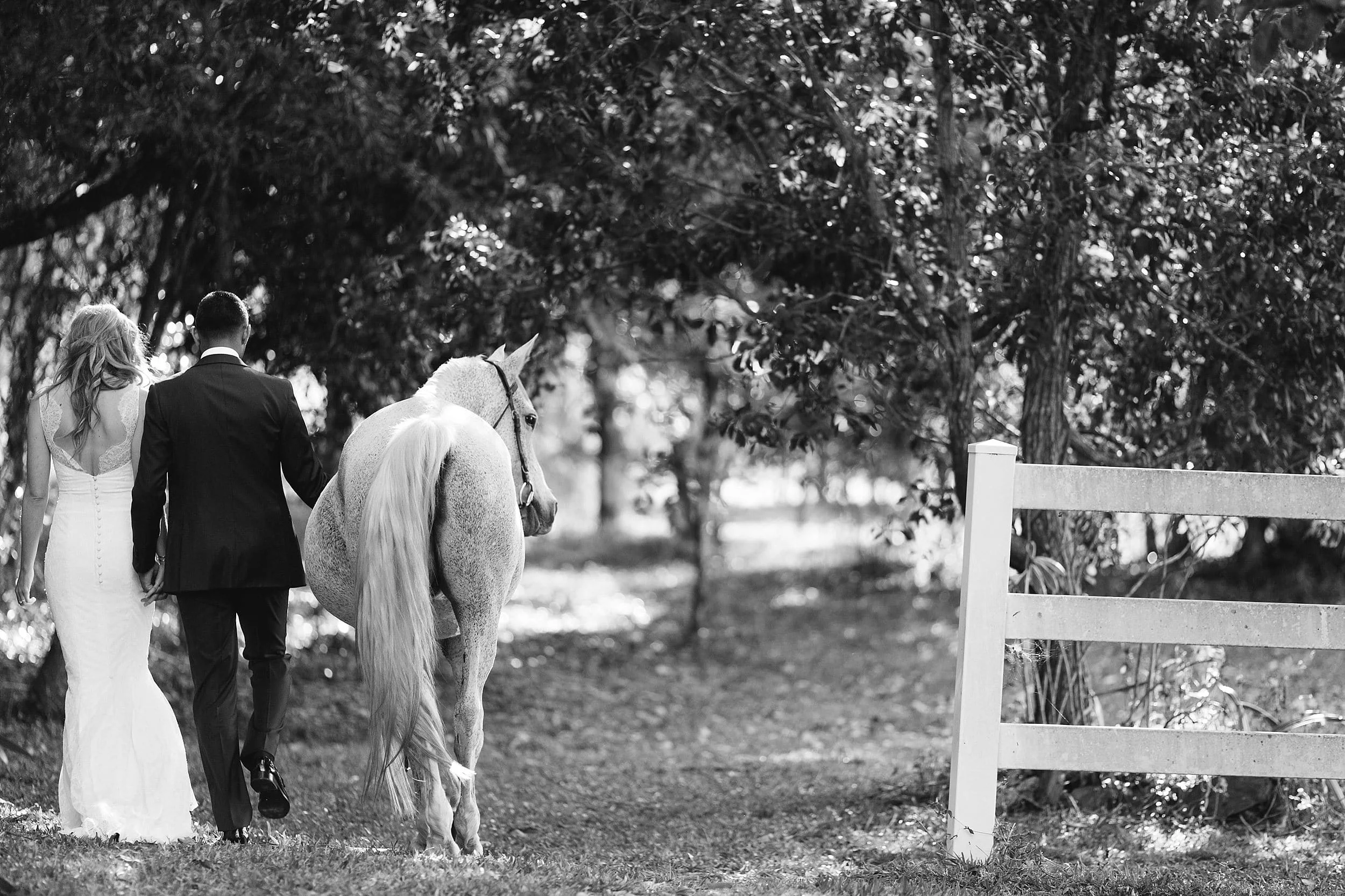 wedding_photography_port_douglas_0124-min.jpg