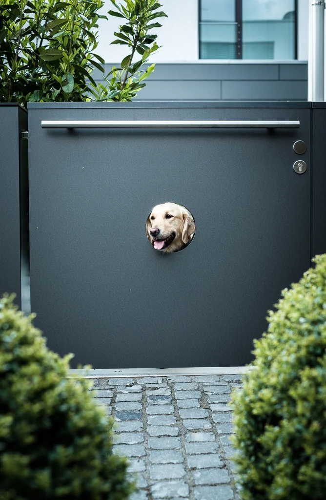 We love dogs Eine Sonderlösung für den Liebling